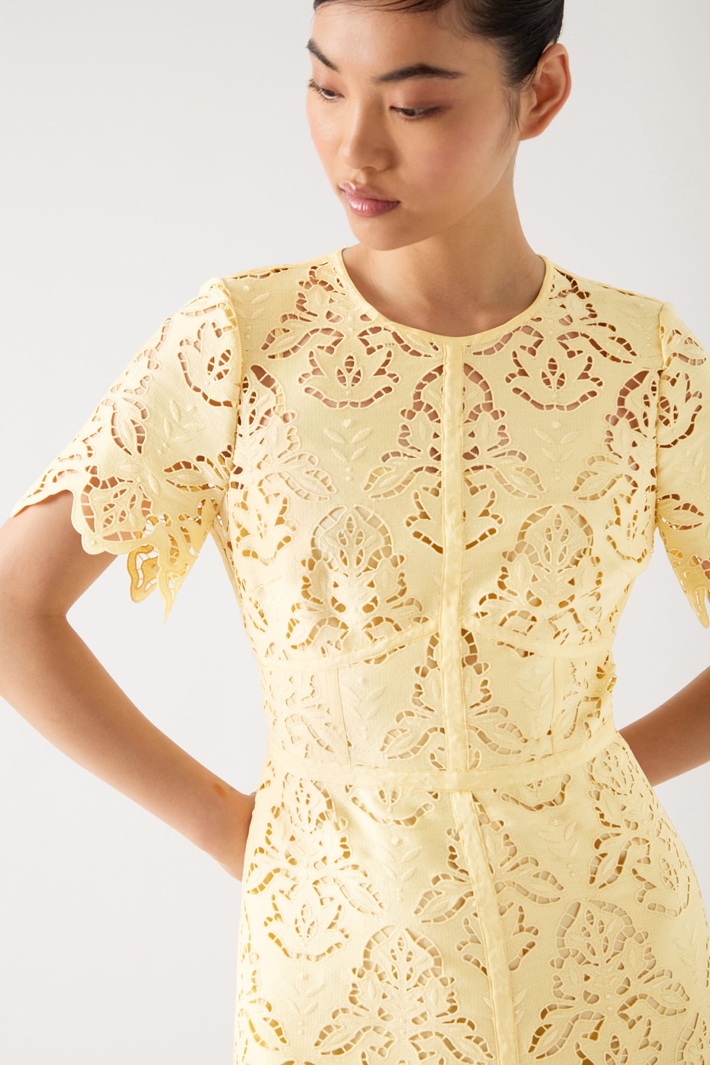 DR GEORGIA EMBROIDERY DR BUTTERCUP 4