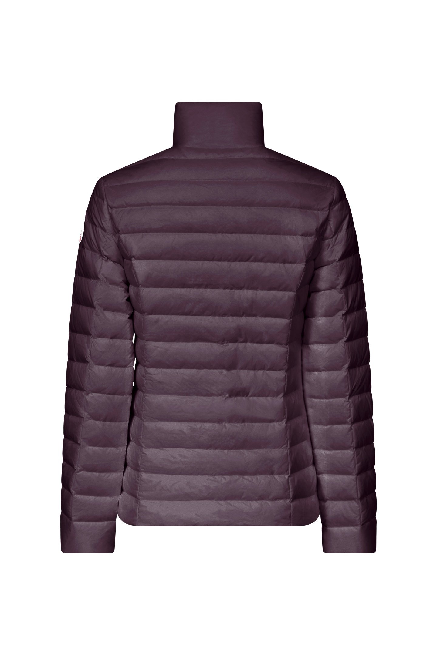 CHA DOWN JACKET FIG 2