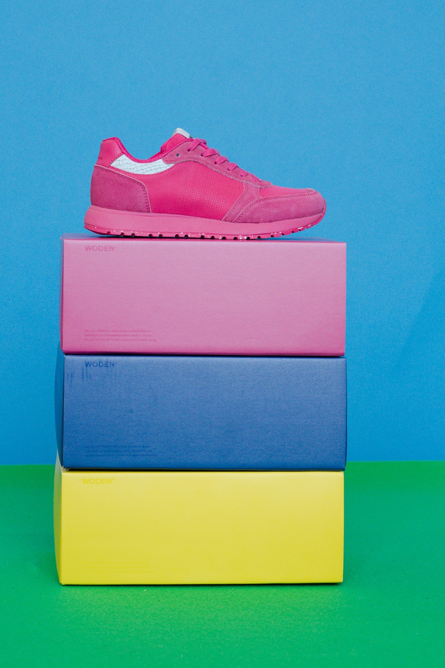 RONJA FRUIT PITAYA 8