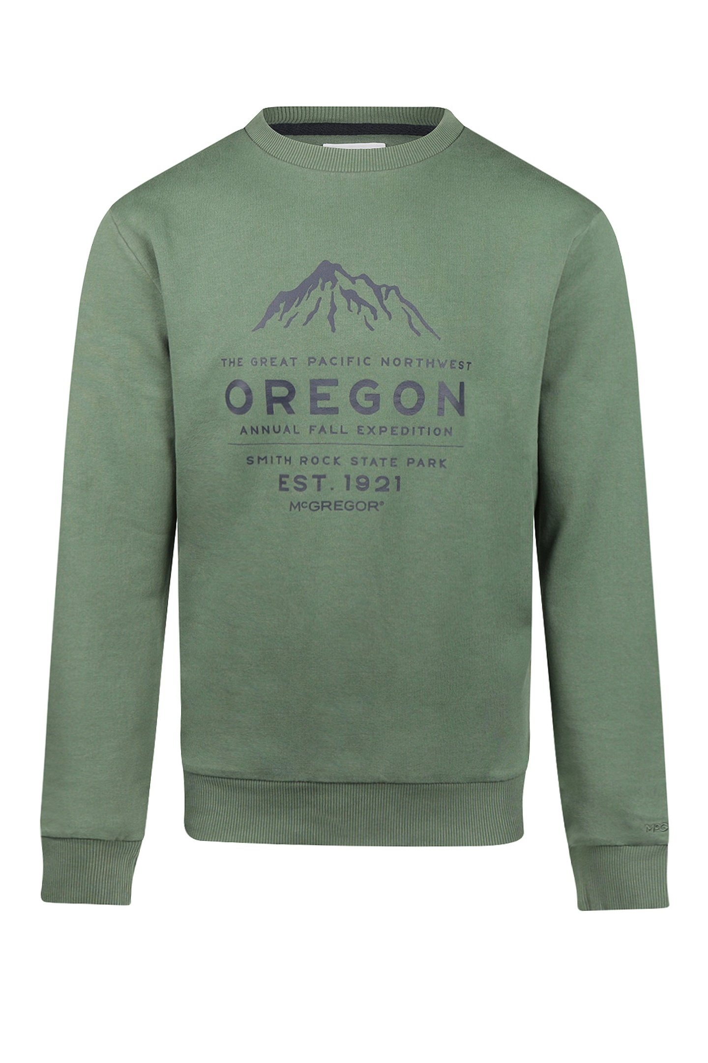 GRAPHIC HOODY MCGREGOR WINTER SAGE 1