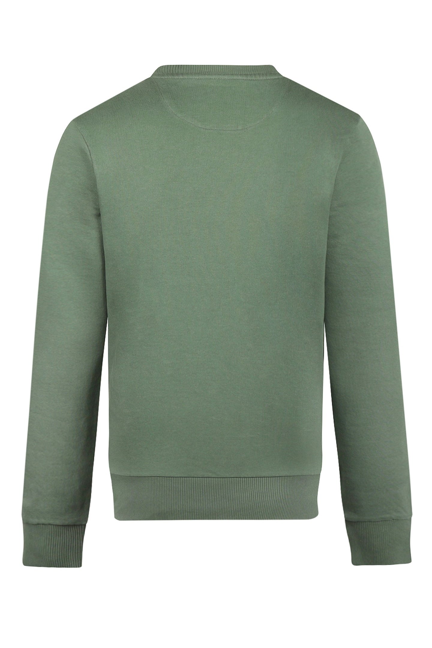 GRAPHIC HOODY MCGREGOR WINTER SAGE 2