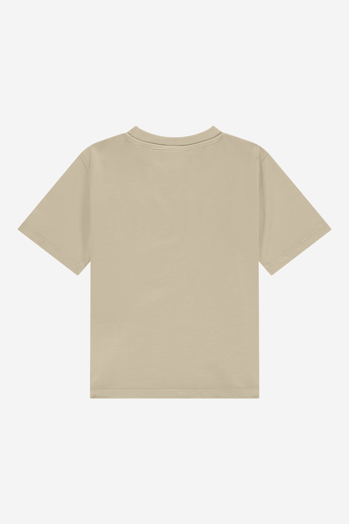 BELLA T-SHIRT WOOD ASH 2