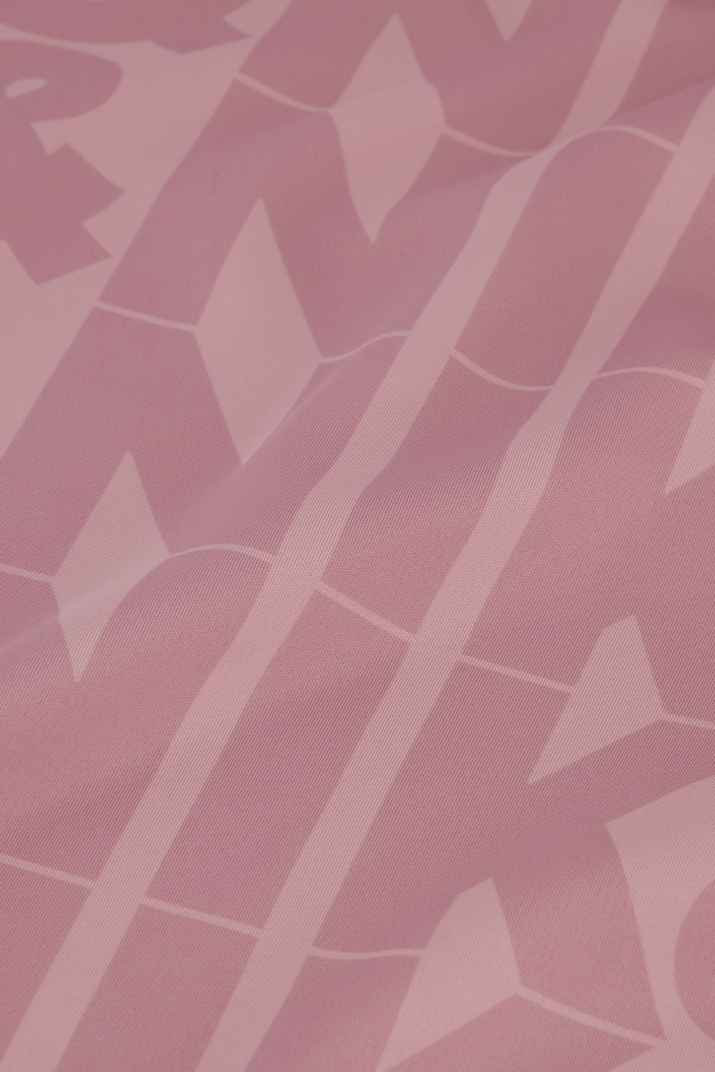 BIG LOGO T-SHIRT MISTY ROSE 4