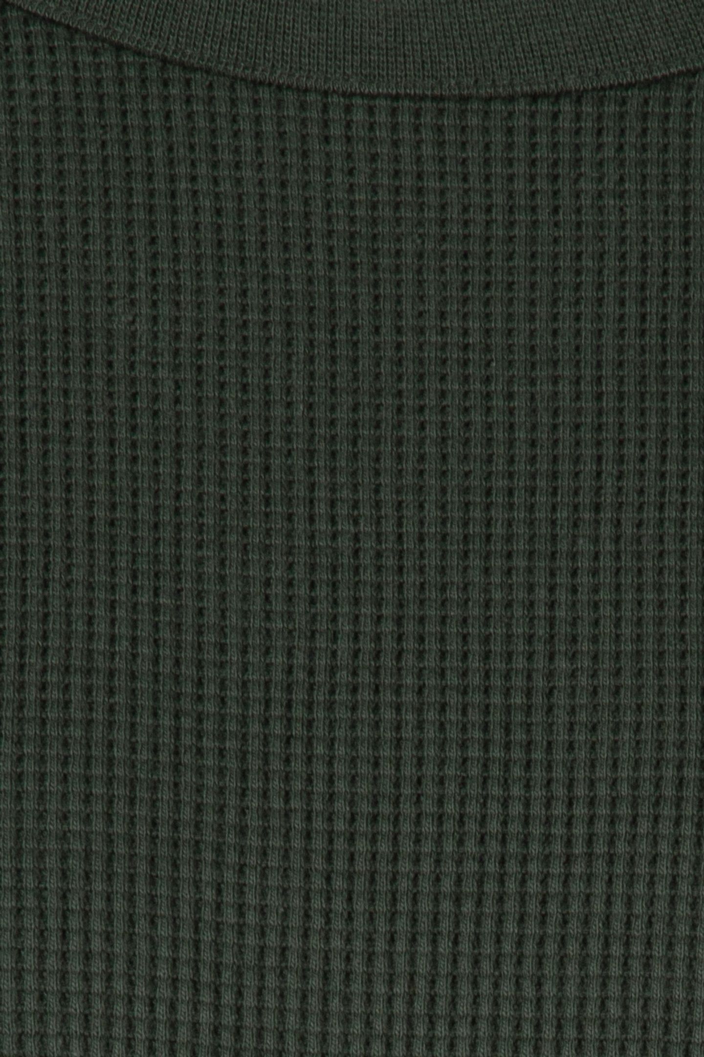 SKATE LS THERMAL DRIED KELP 4