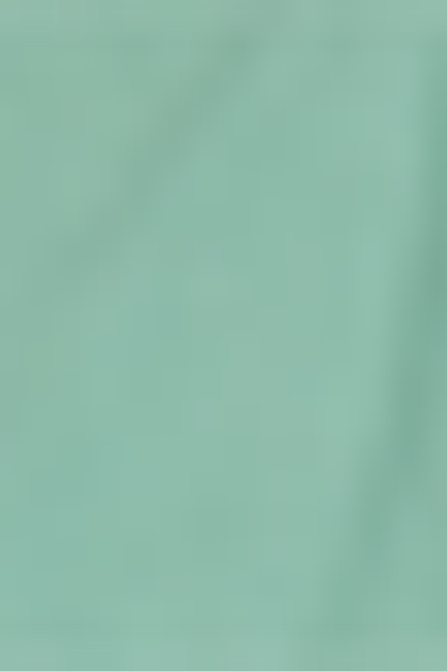 WAYNE JR LIGHT GREEN 3