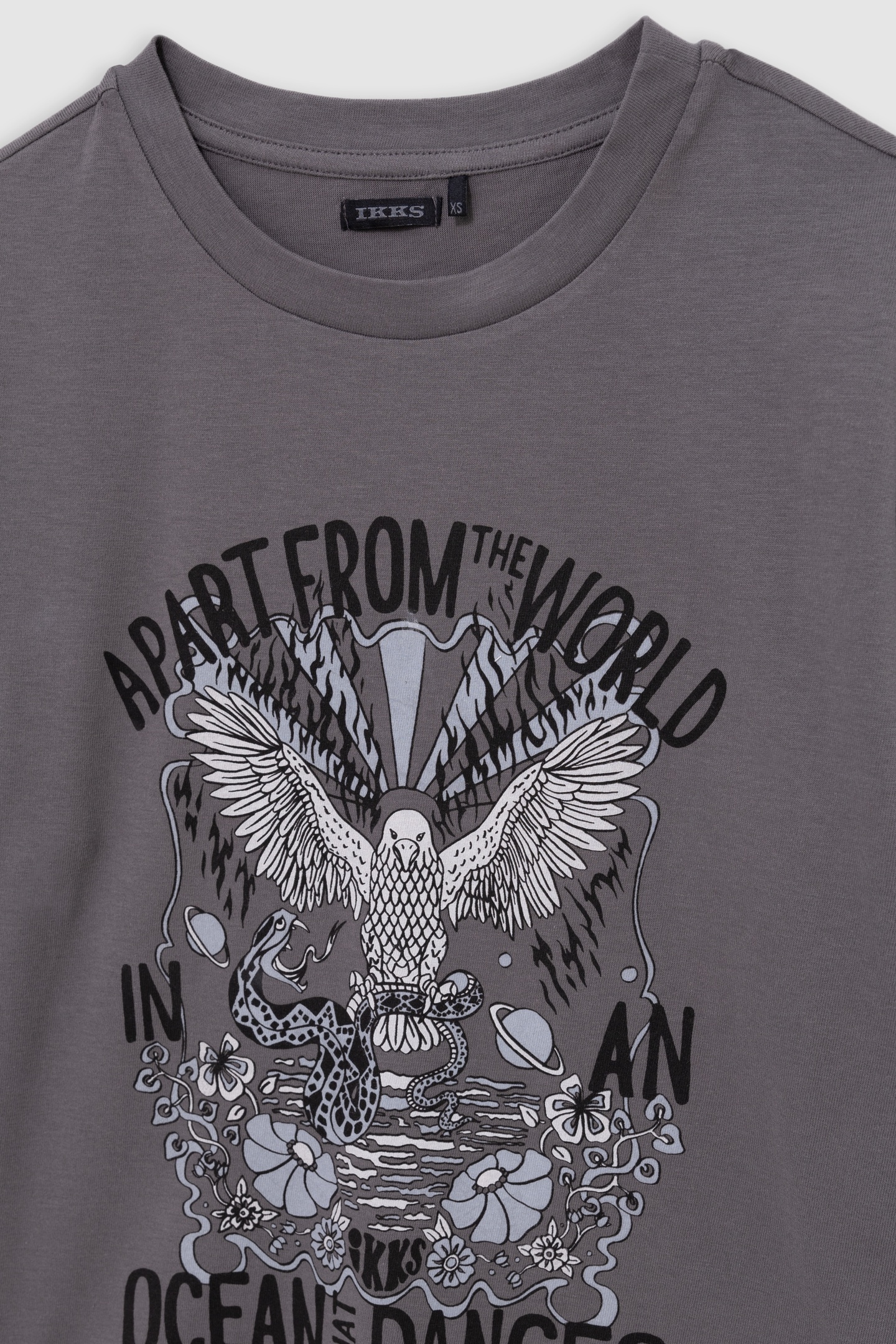 GIRL'S VISUAL EAGLE T-SHIRT IN GREY ORGANIC COTTON 3