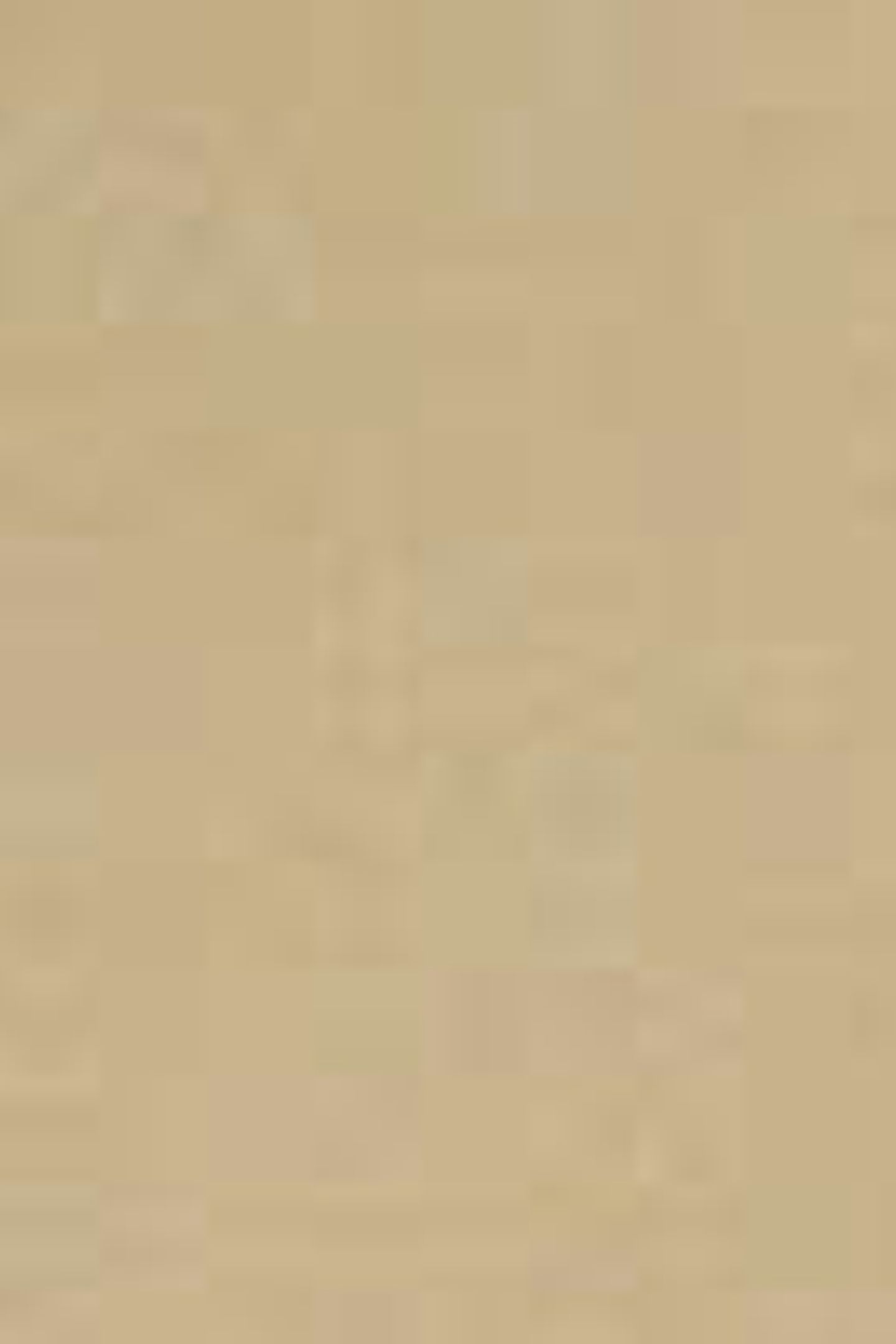 TWILL HOTEL KARL CREST SWEATSHIRT 5