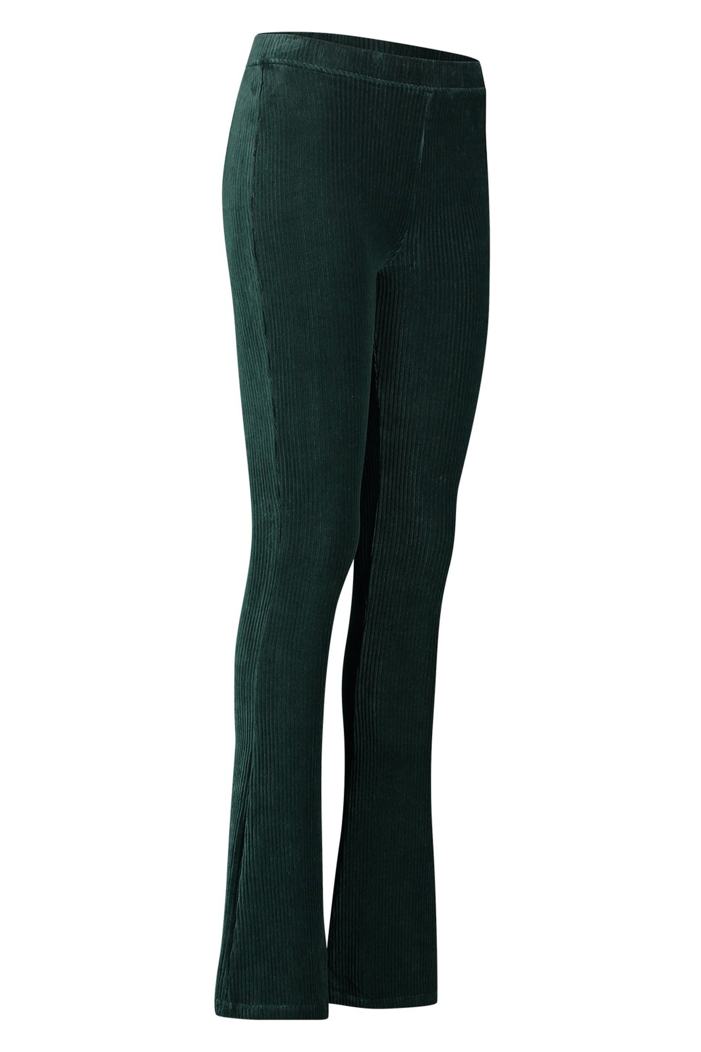 SAHANA NEW FIR GREEN 2