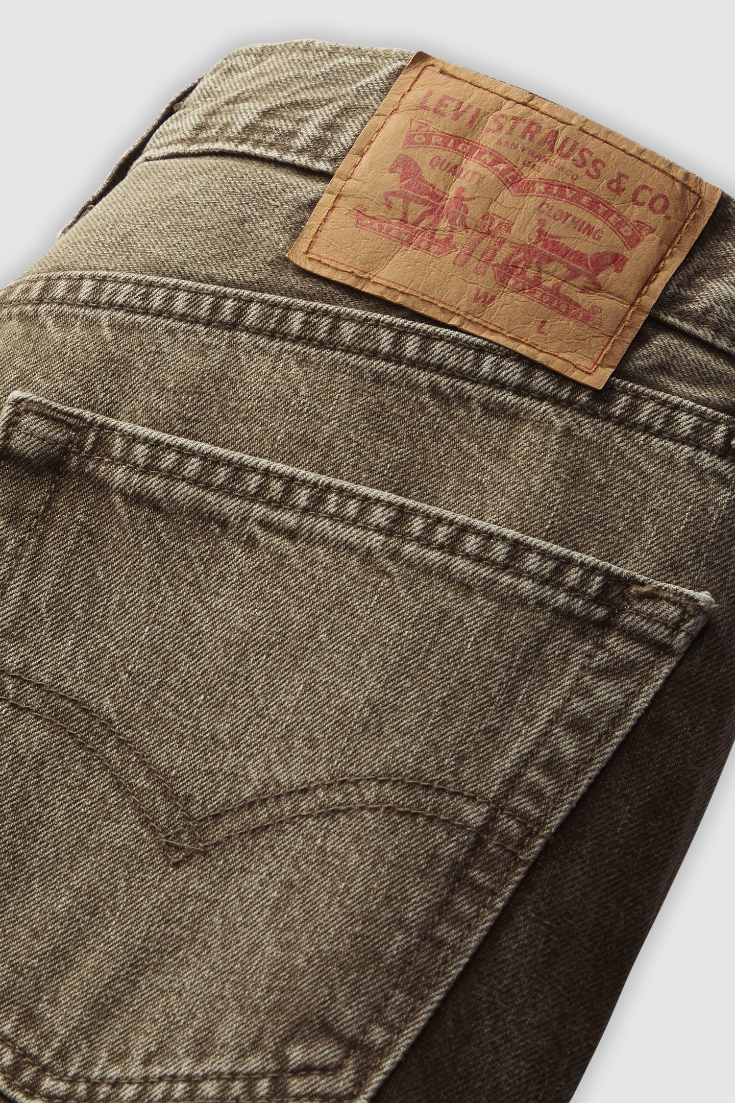 555 RELAXED STRAIGHT BEECH TREE 7