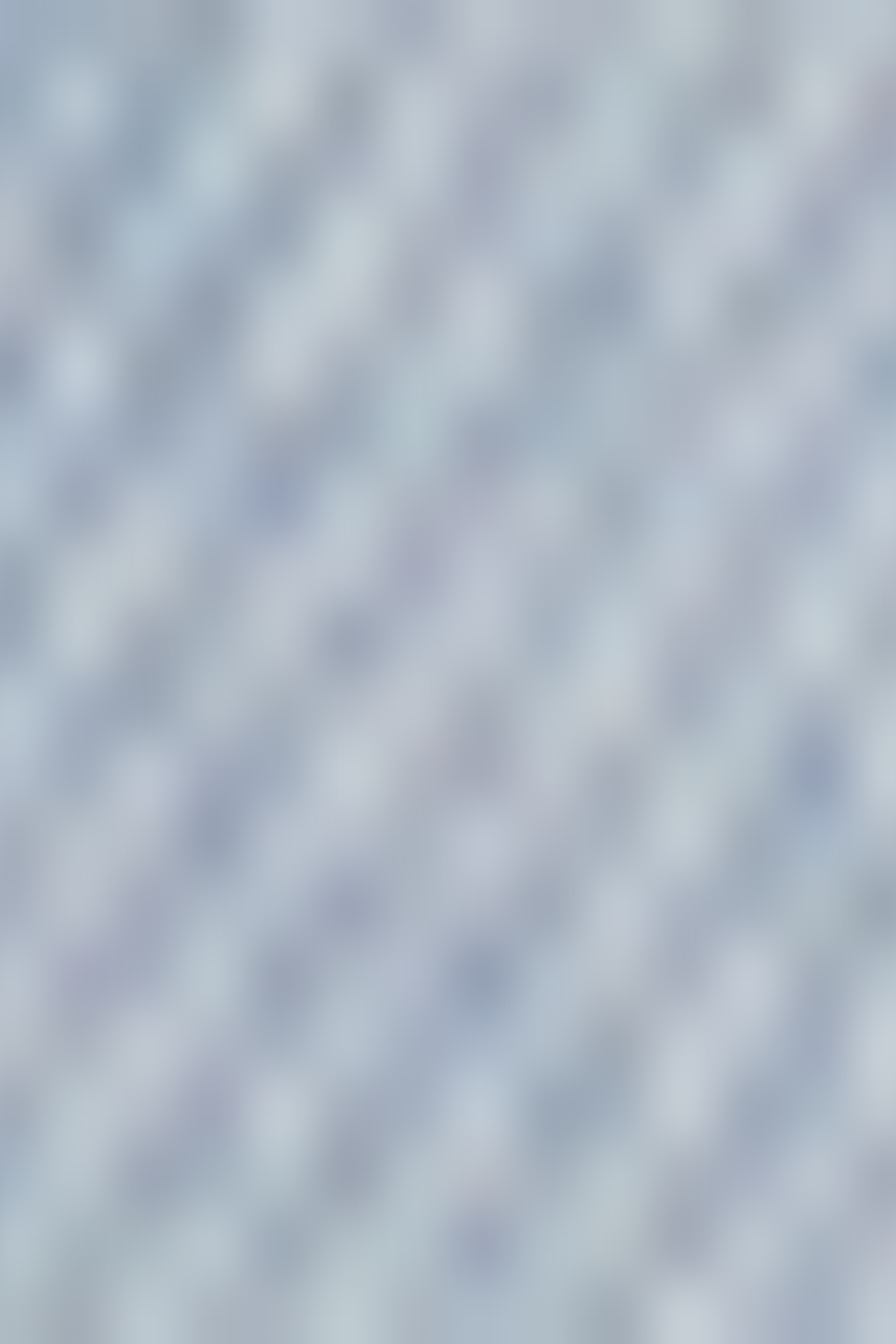 AUSTIN ZG VINTAGE BRIGHT 5