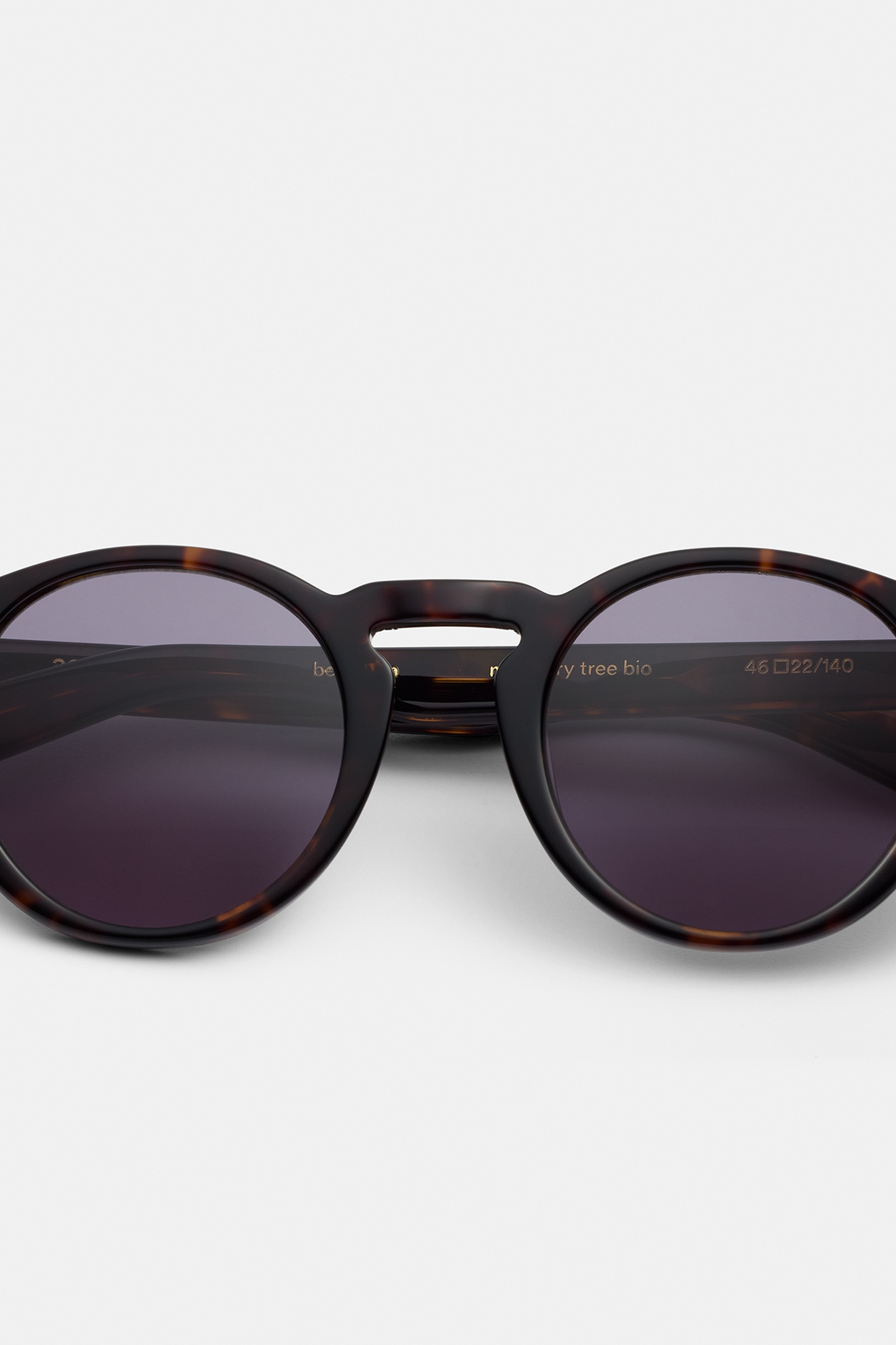 BENJAMIN-MULBERRY-TREE-SUN 2