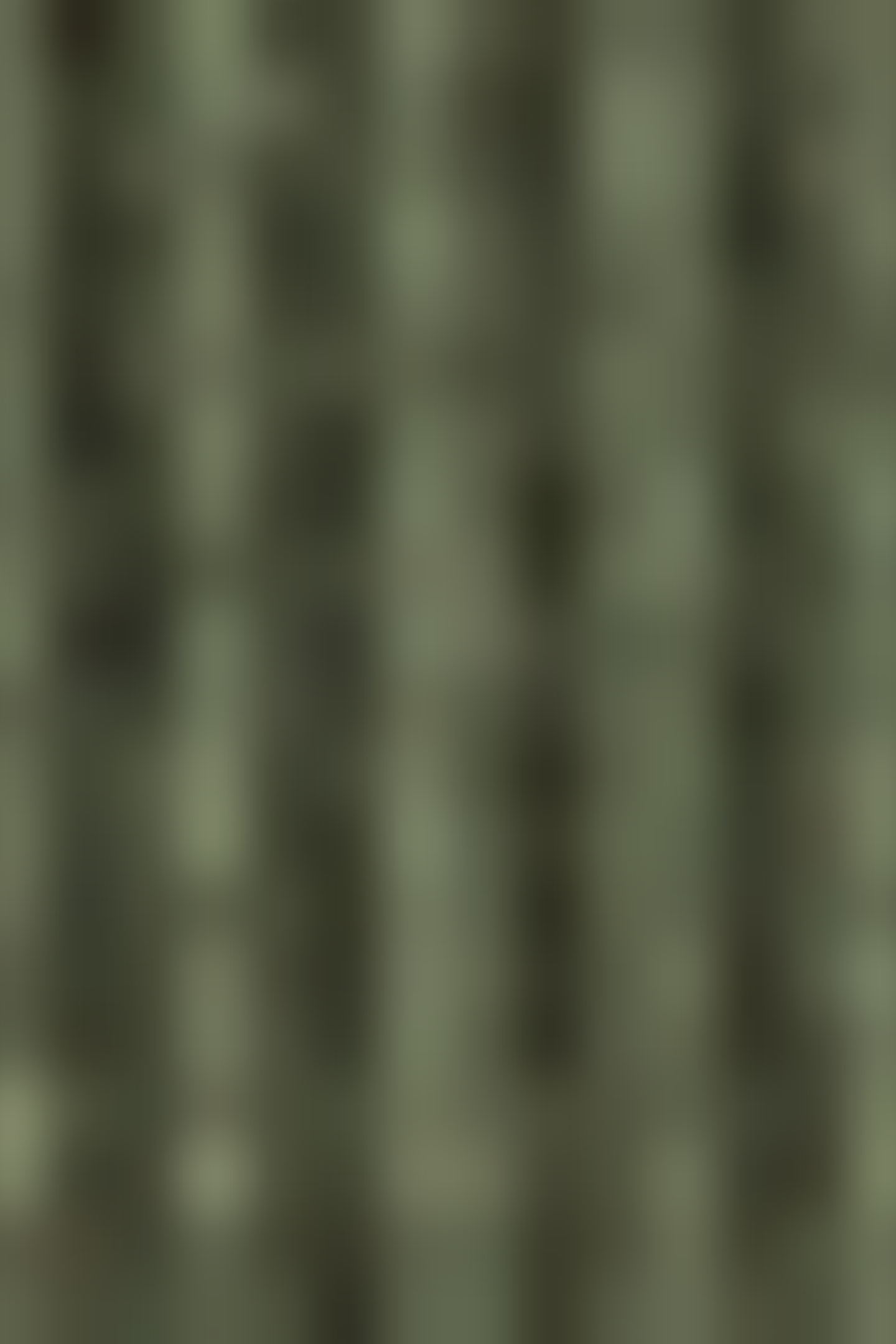 KENT CREW GREEN MELANGE 5