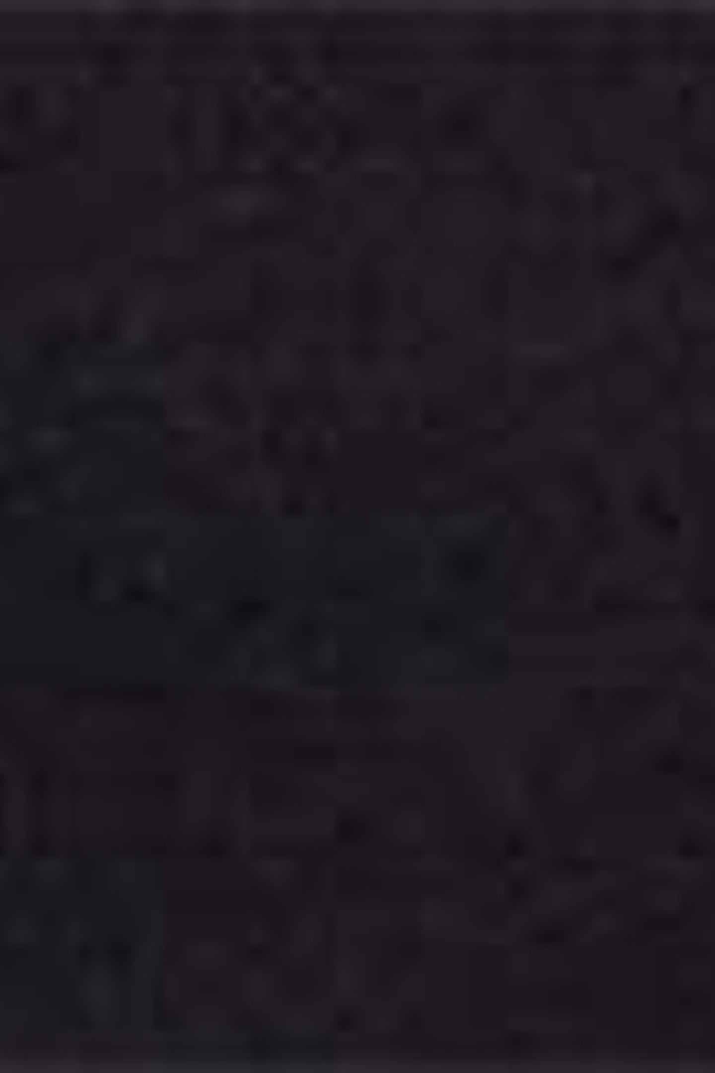 BLACK HOTEL KARL CREST TANK TOP 6