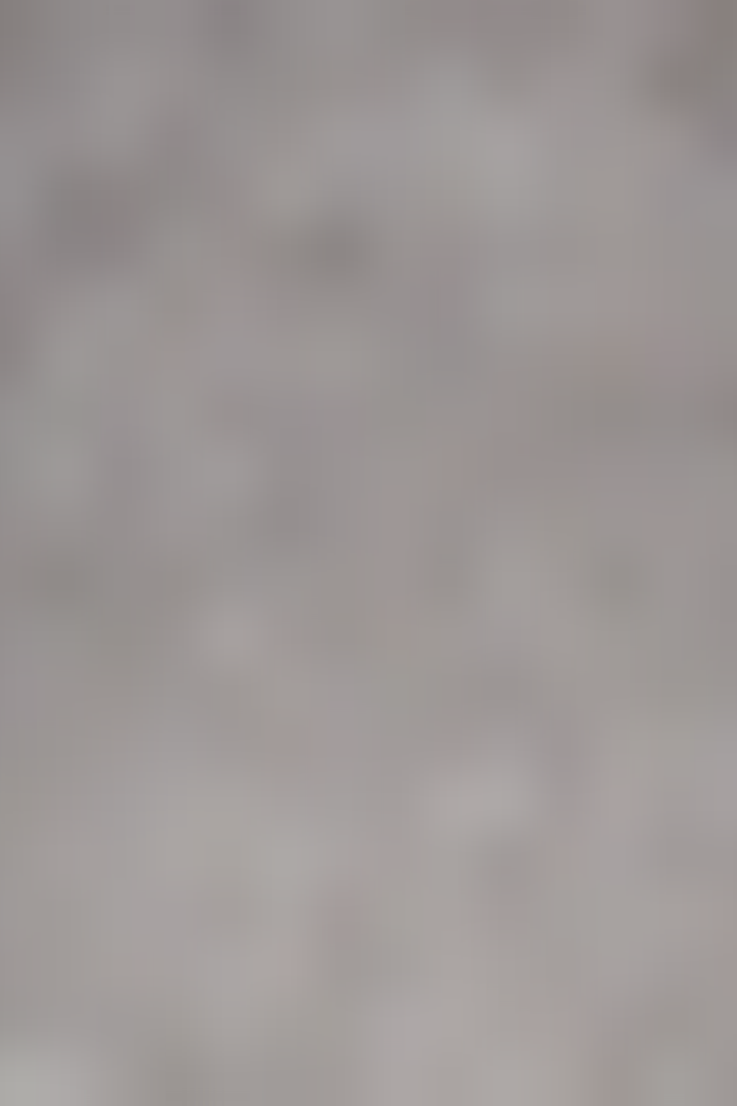 NATE JR LIGHT GREY 3