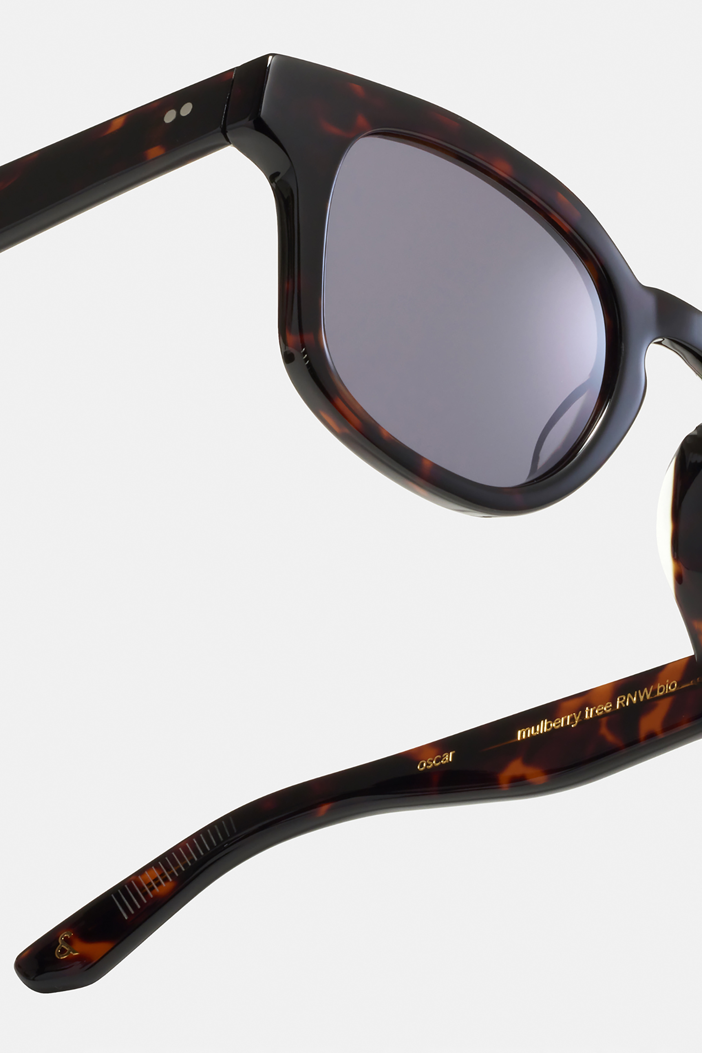 OSCAR-MULBERRY-TREE-SUN 4