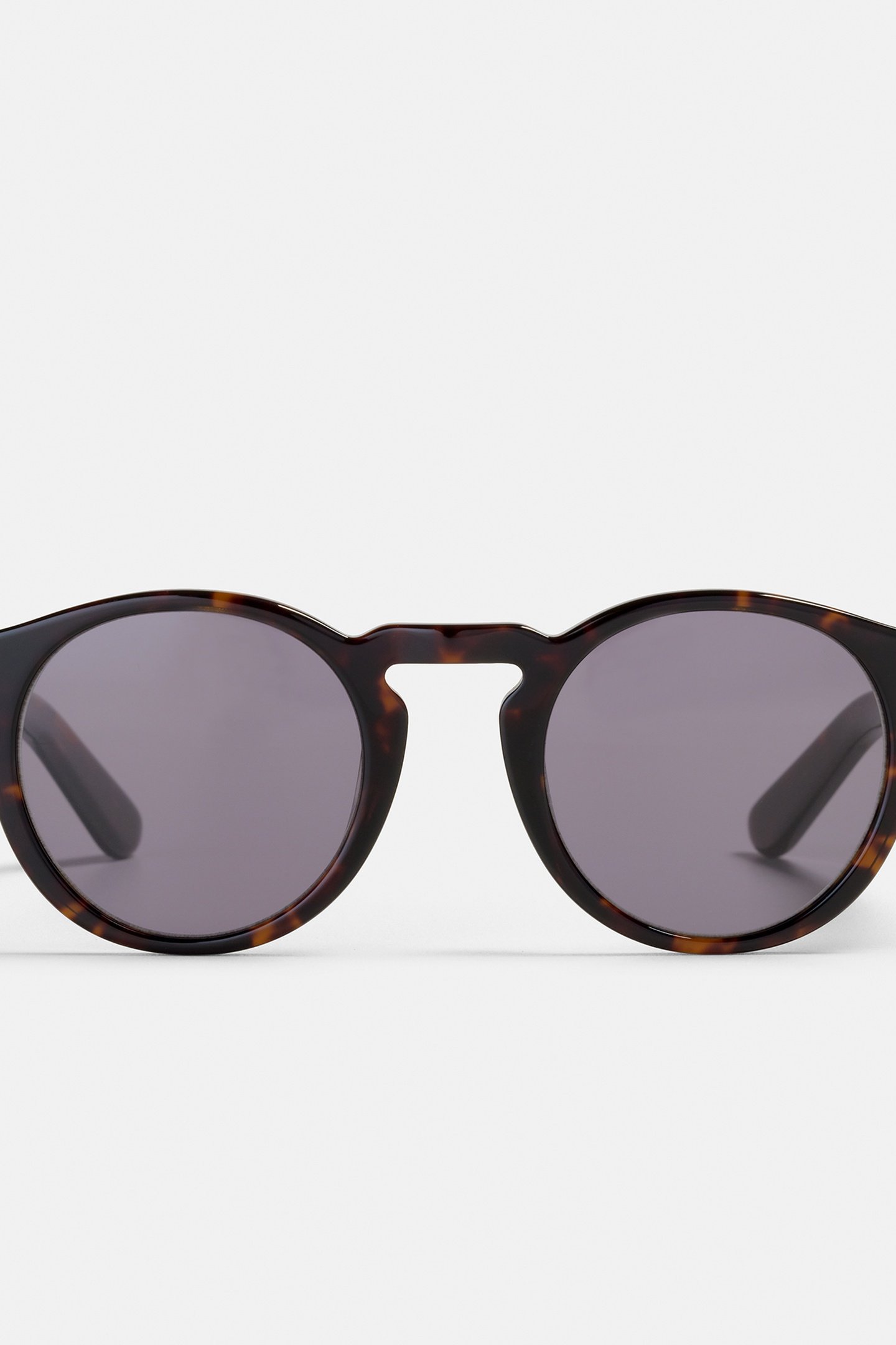 BENJAMIN-MULBERRY-TREE-SUN 1