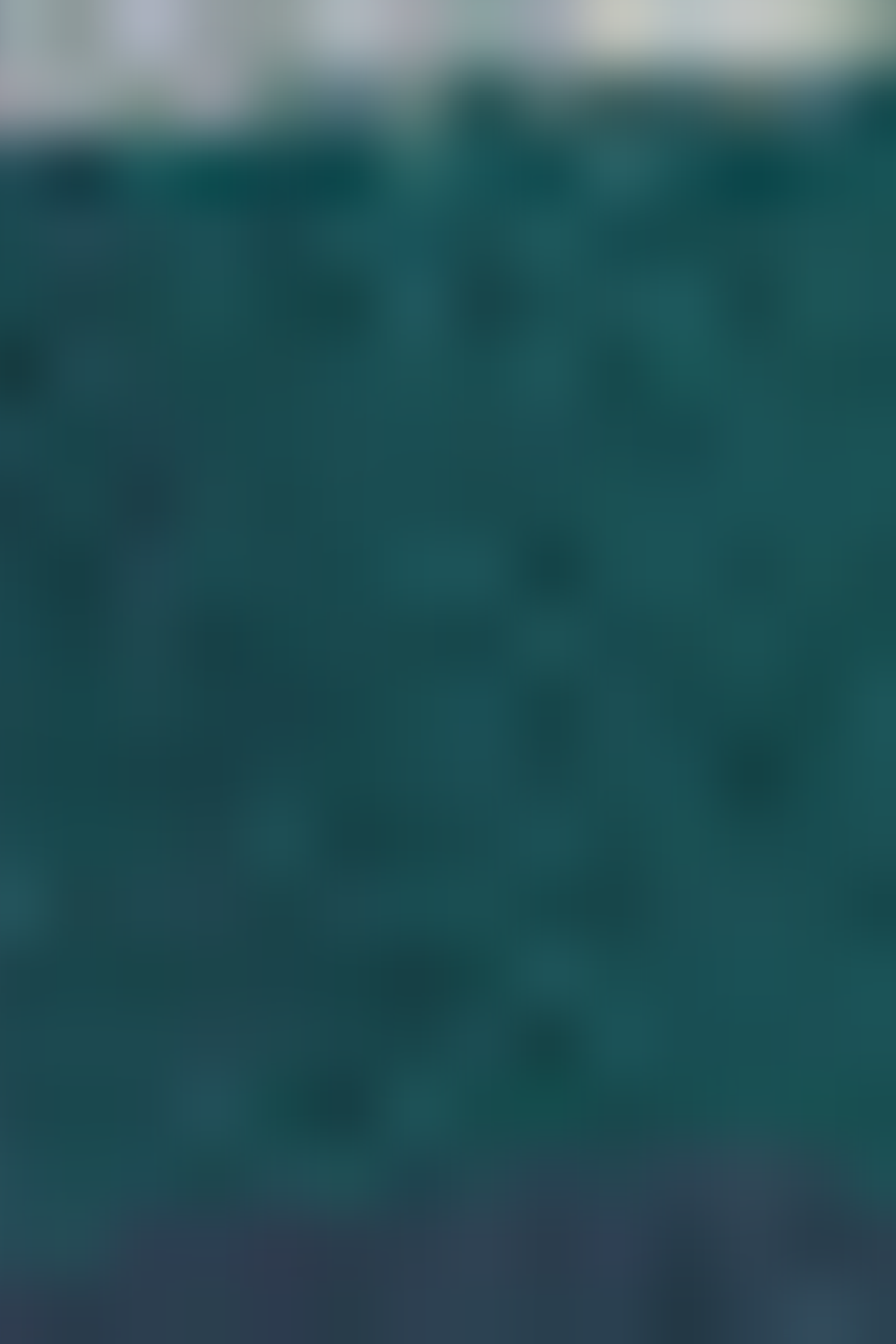 MORGAN Z GREEN/BLUE 5