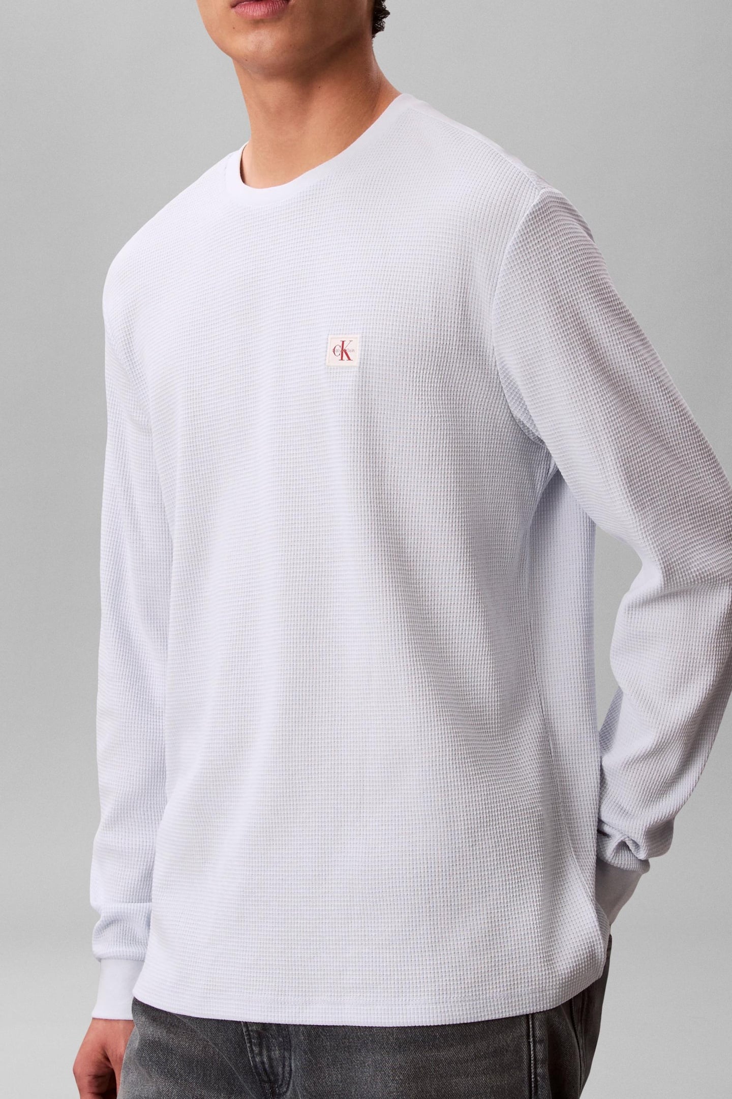 LS WAFFLE BADGE CREWNETEE PLEIN AIR 2