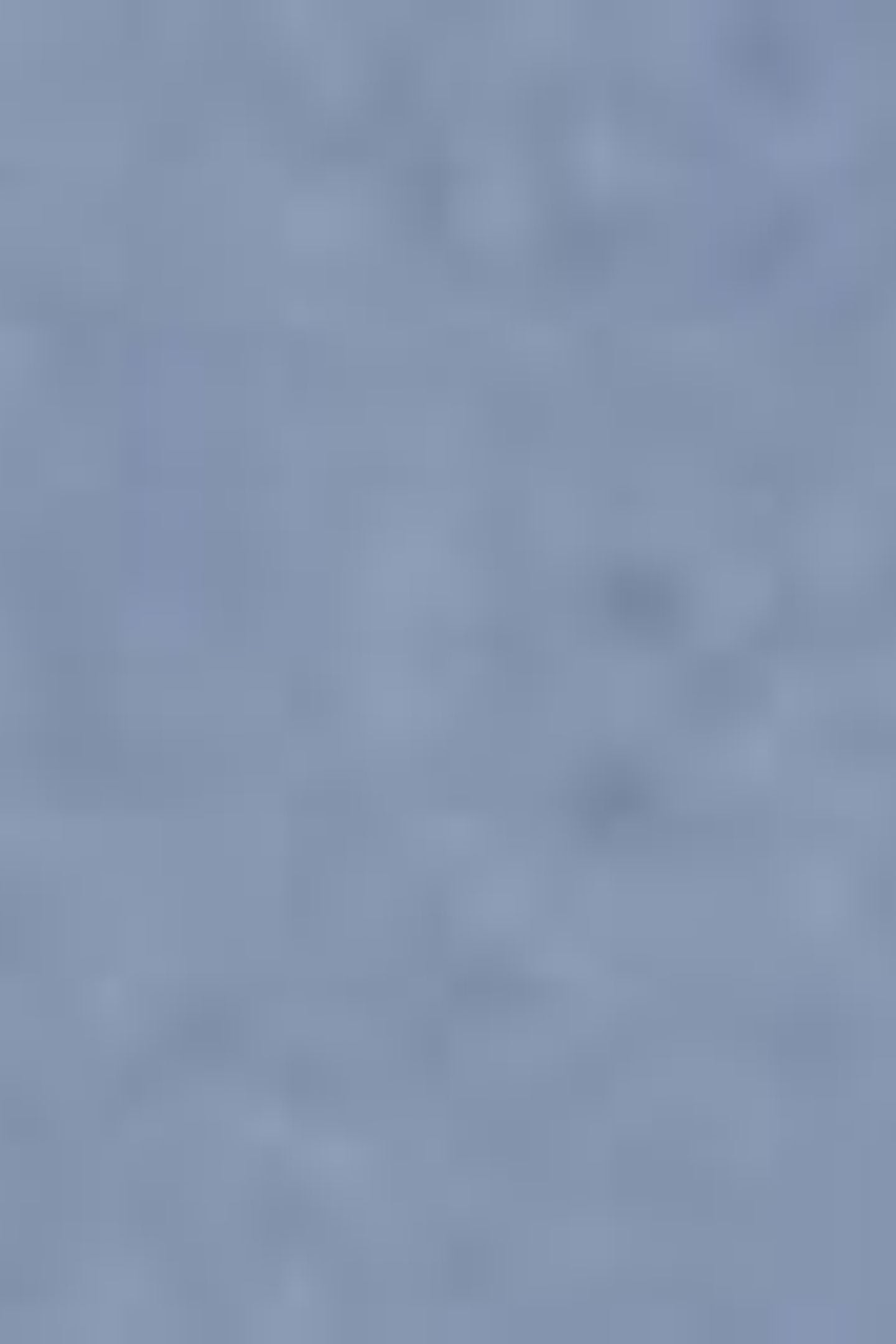 CARRIER CARGO SHORTS BLUE 9