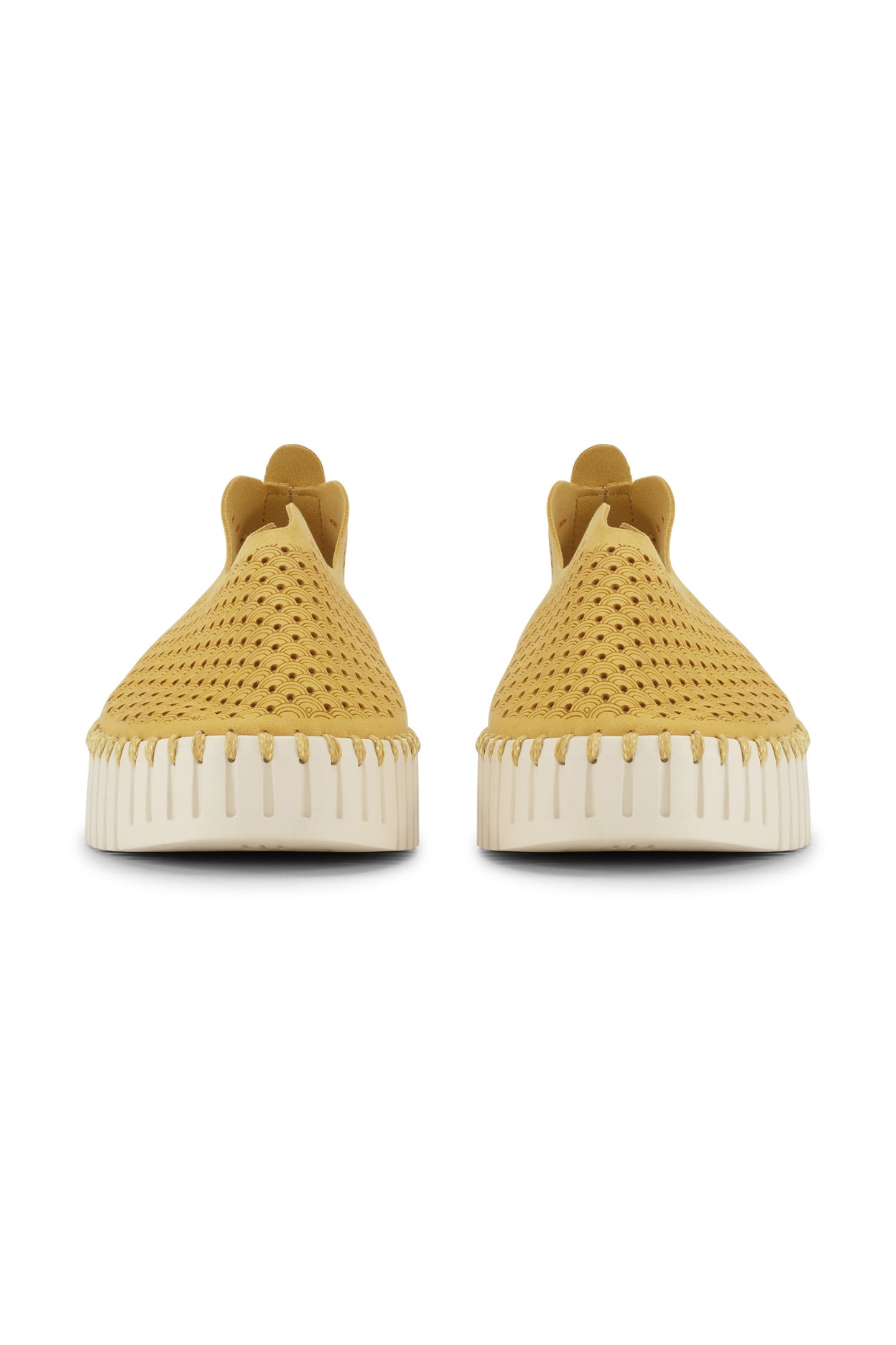 FLATS TULIP3373 GOLDEN ROD 7