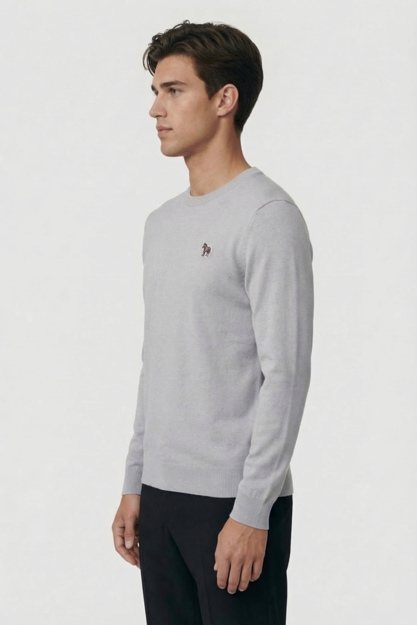 SWEATER CREW NECK ZEB BAD GREY 3