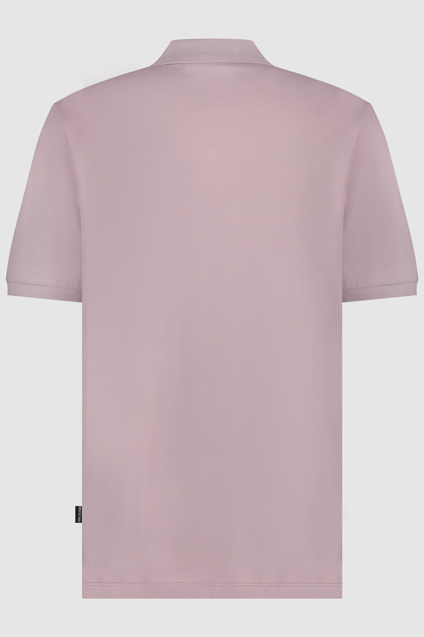 ENRIQUE POLO LILAC 2