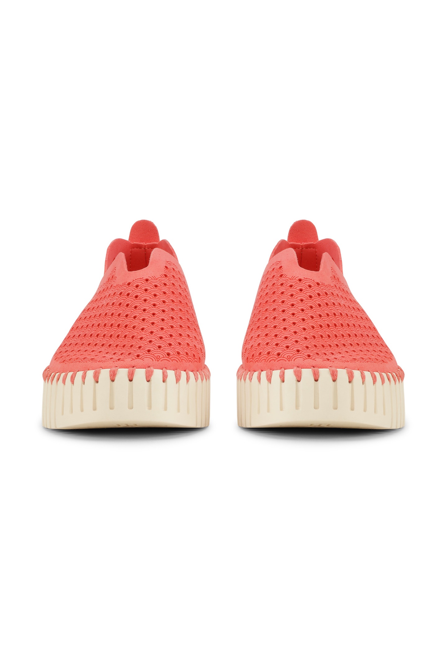 FLATS TULIP3373 RASPBERRY 4