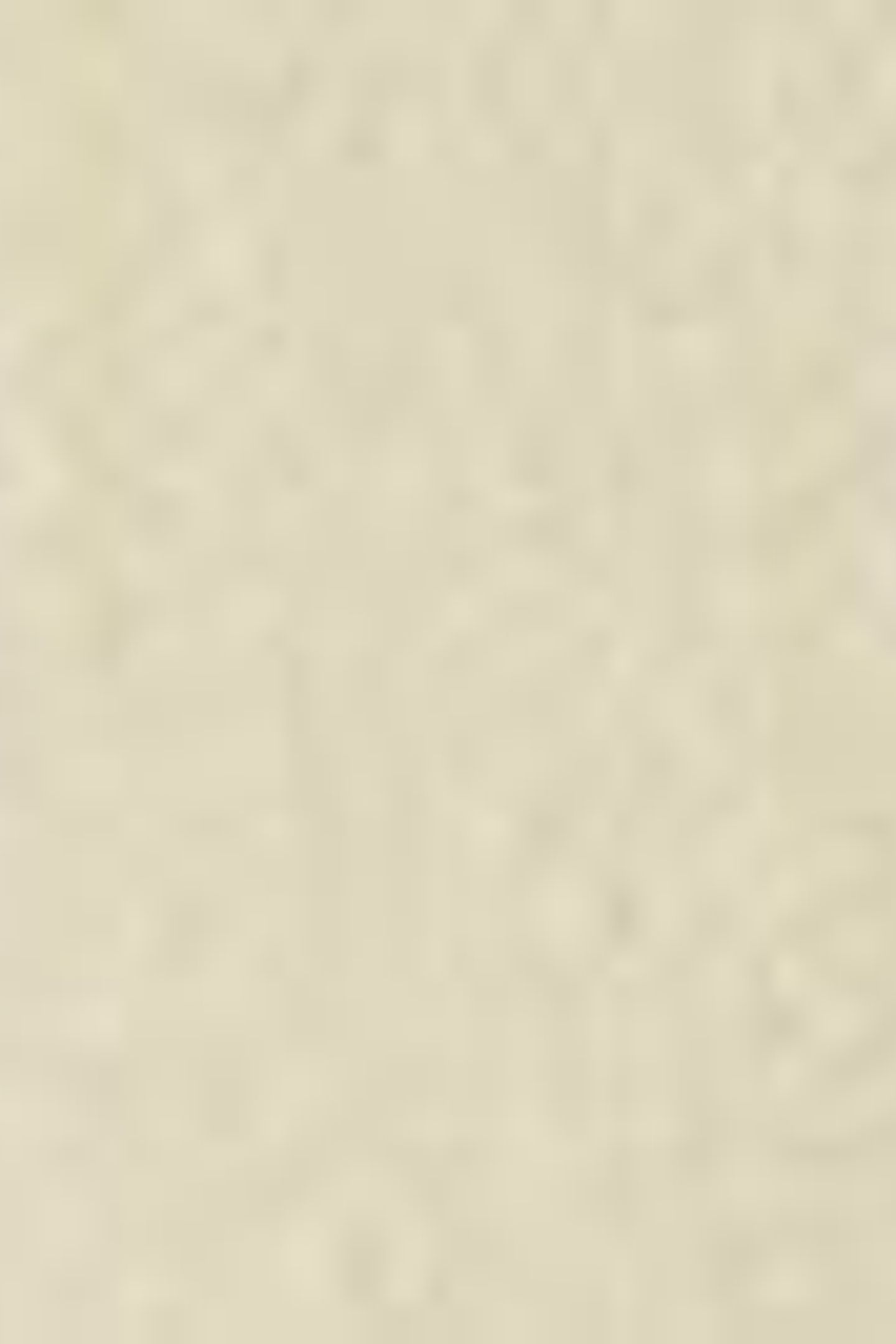 HALF SLEEVE TEE MOSS GRAY 6