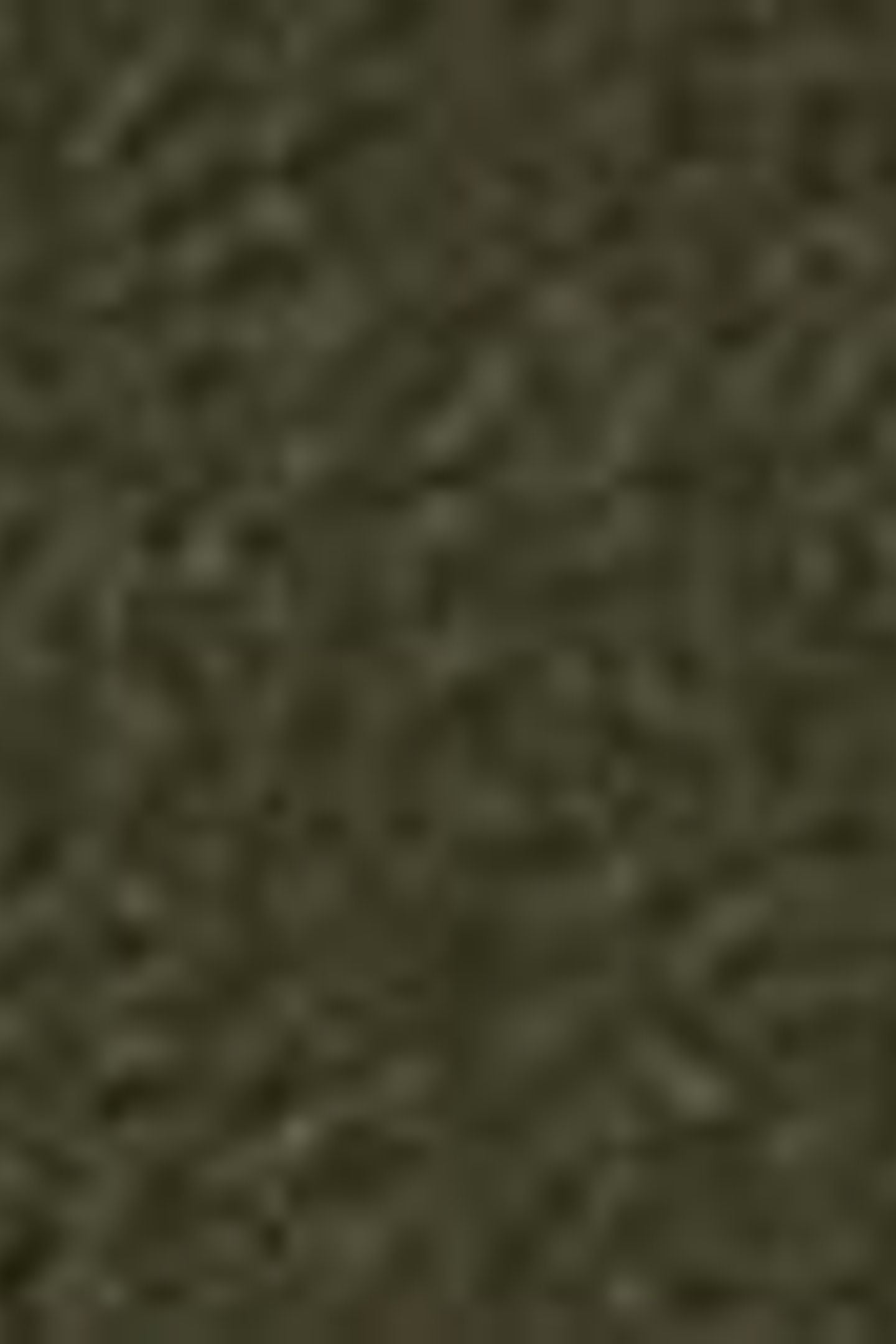 XX CHINO STD II ROSIN WOOL LIKE 8