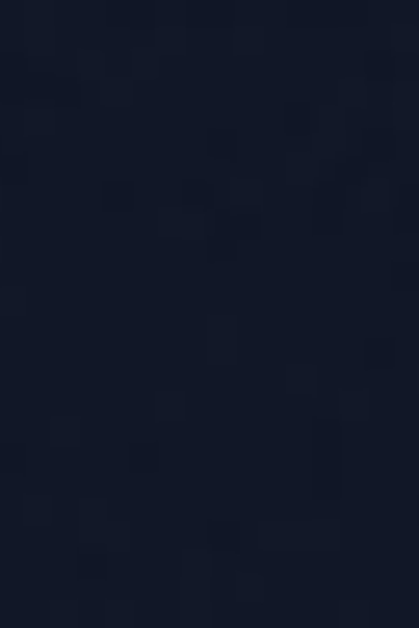 TEE-SHIRT BLEU MARINE 7