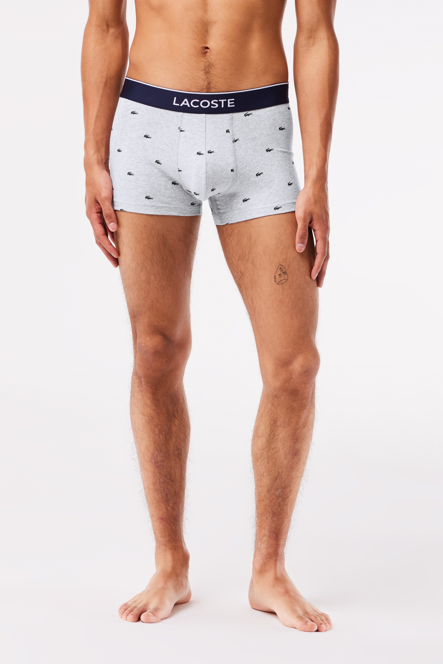 TRUNK MEN METHYLENE/SILVER CHINE 3