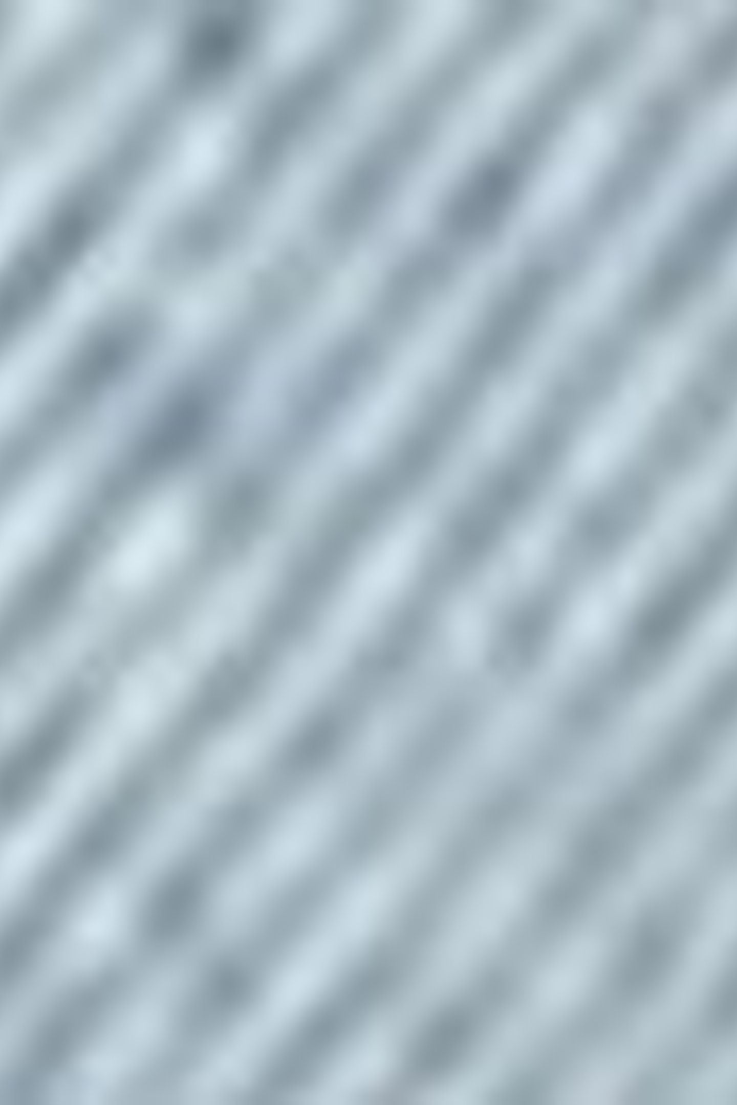 BAGGY DAD JORTS BLUE 10