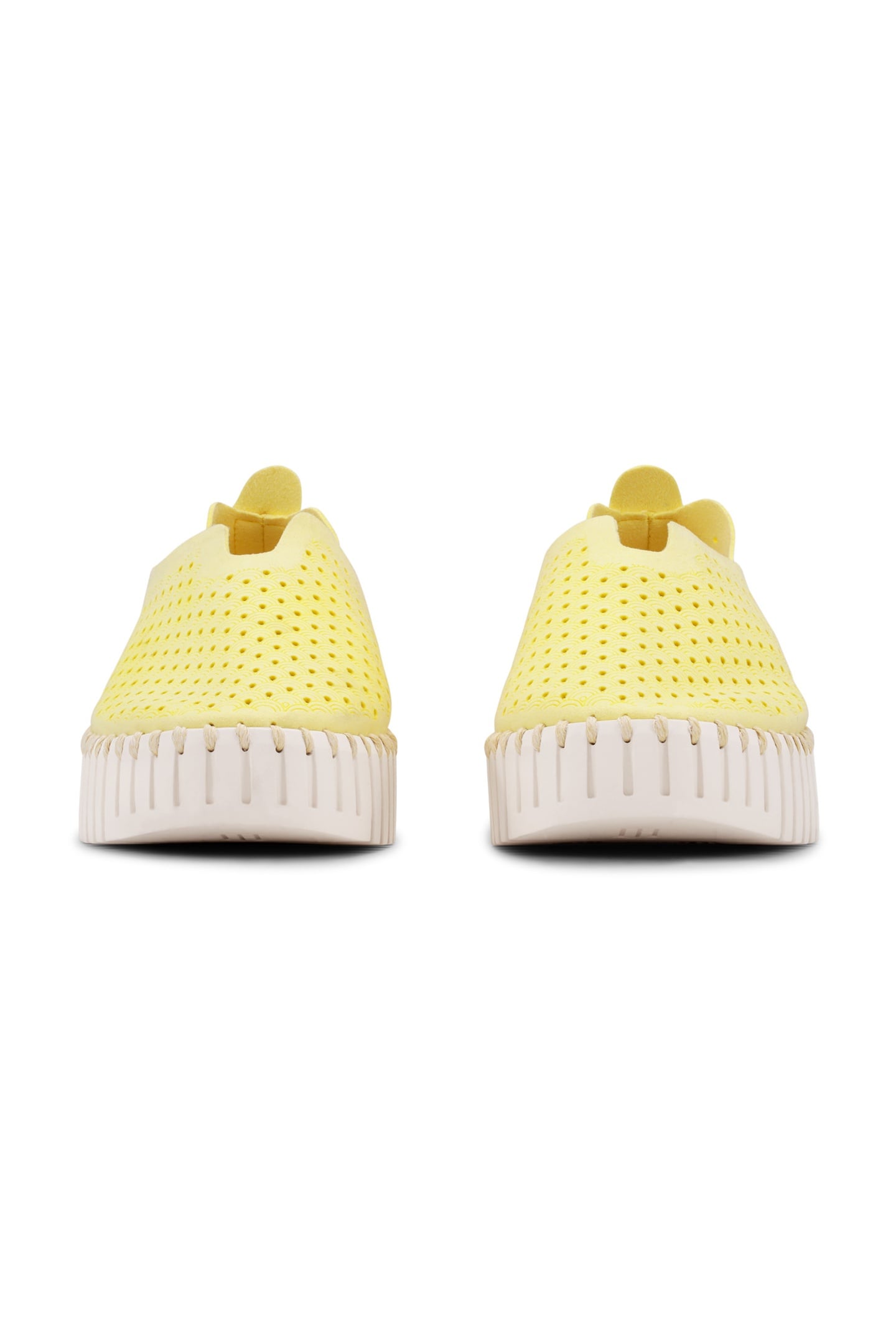 FLATS TULIP3373 LEMON DROP 6