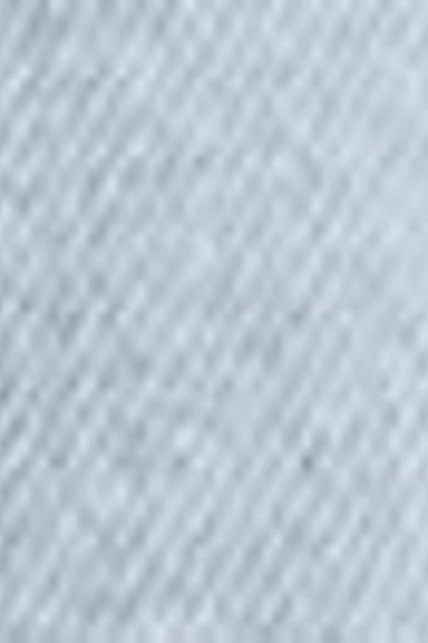 BAGGY DAD JORTS BLUE 9