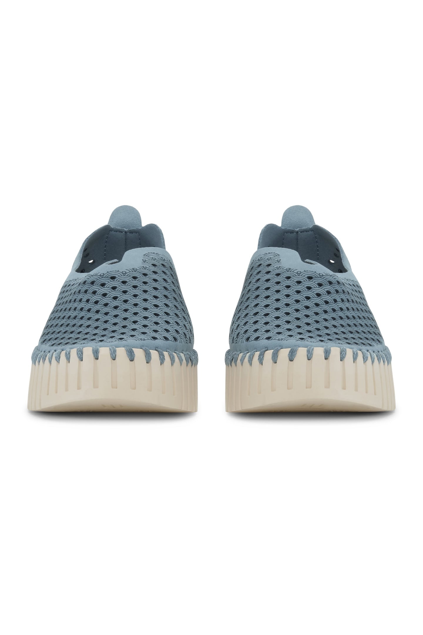 FLATS TULIP3373 BLUE CLOUD 7