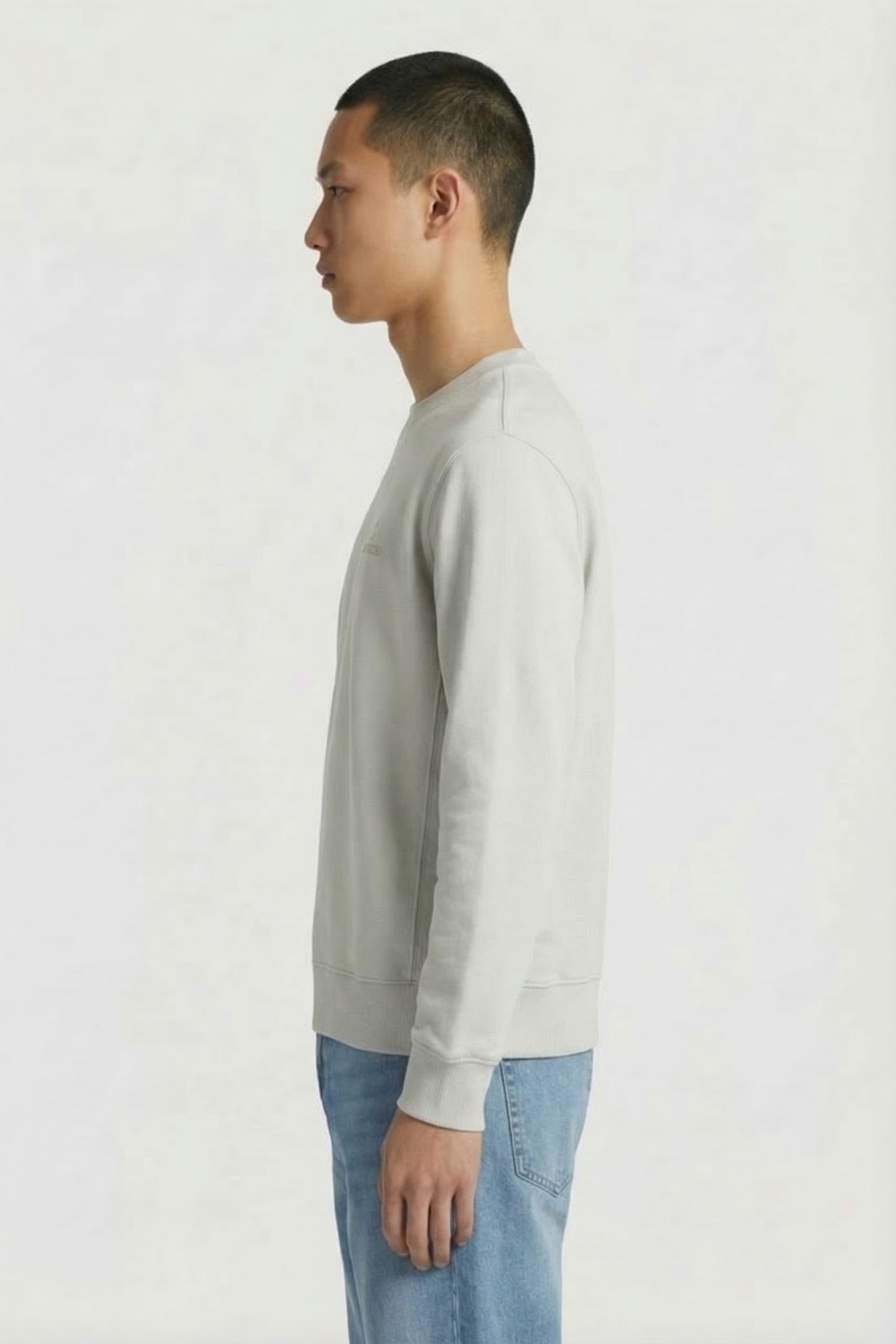 DS_NIKOL CREW SILVER BIRCH 3