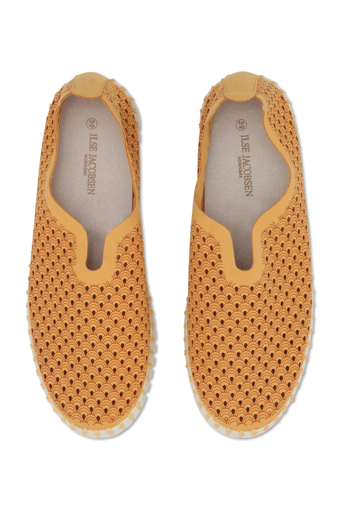 FLATS TULIP3373 GOLDEN NUGGET 4