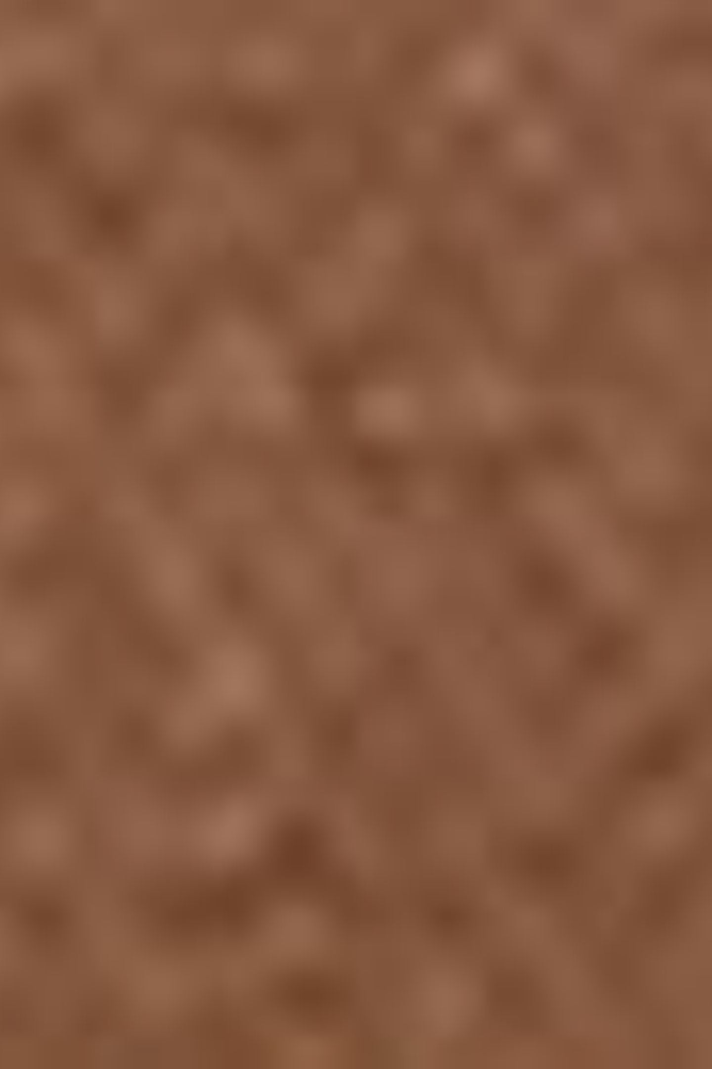 WESTERN SHORTHORN TRUCKER JACKET BROWN 5