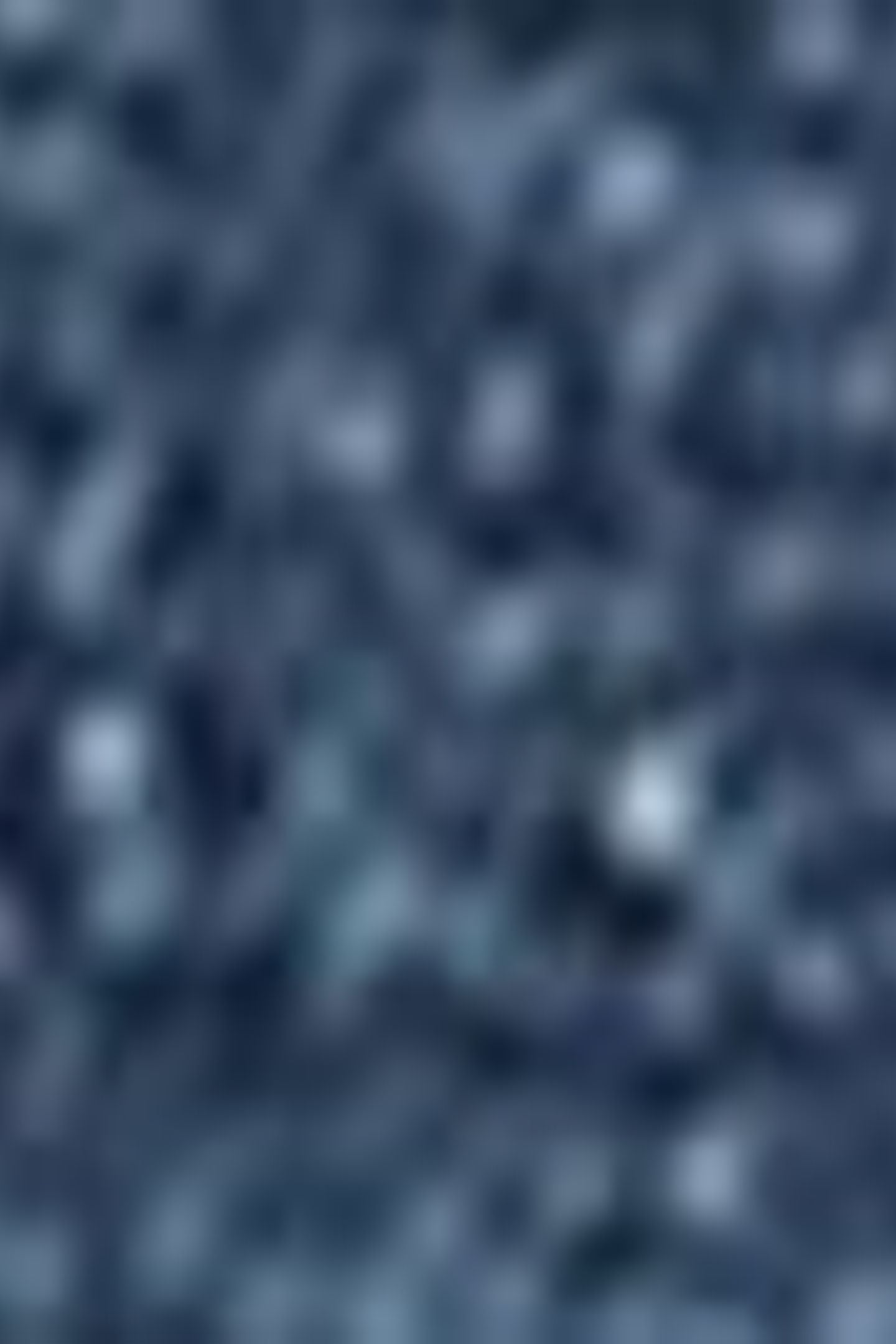 RIBCAGE BERMUDA SHORTS BLUE 8