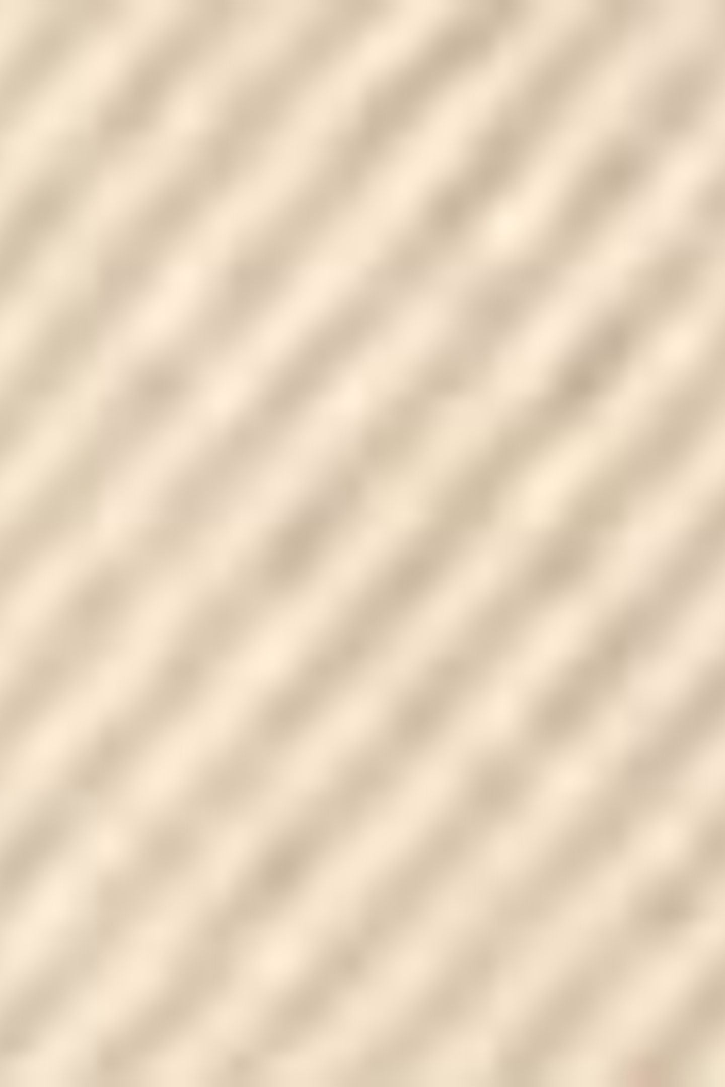 HIGH BAGGY LIGHTWEIGHT SHORTS BEIGE 7