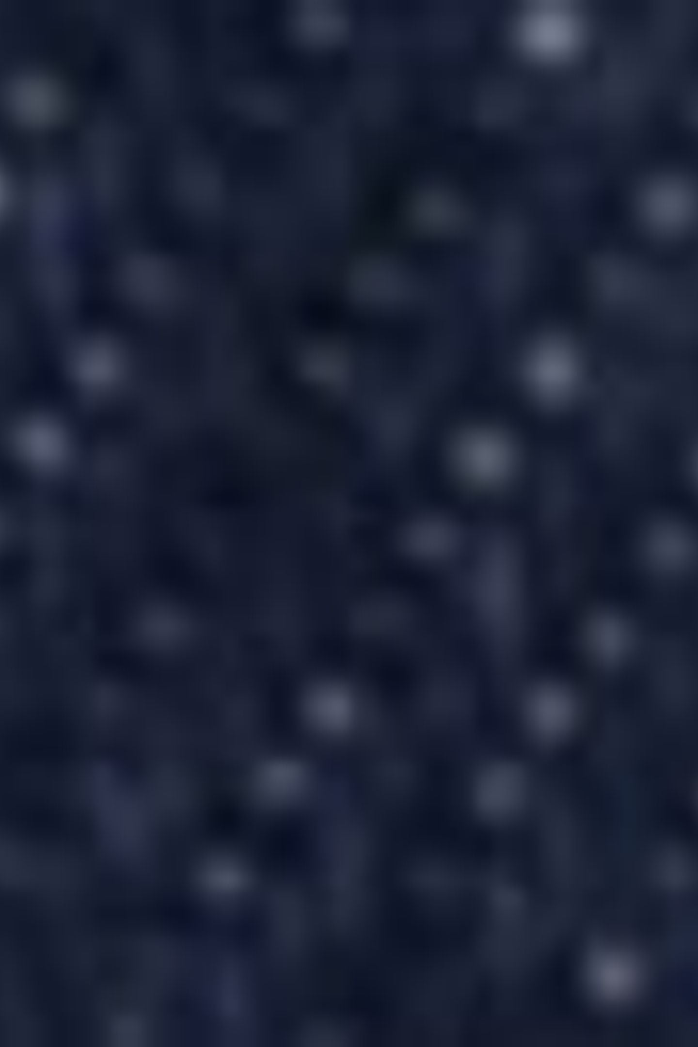 LEVI'S® HERITAGE TOTE BLUE 5