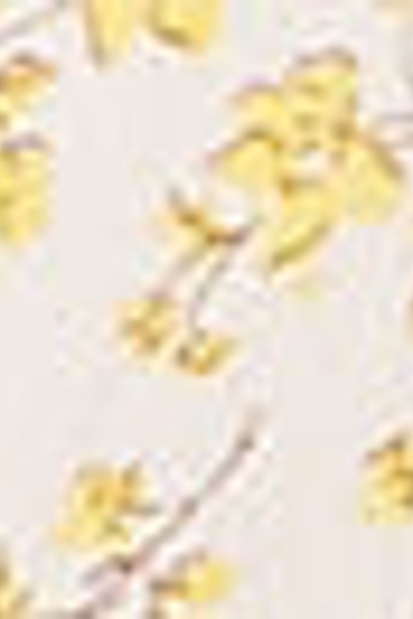 ROSA SHORT SLEEVE MIDI DRESS YELLOW 5