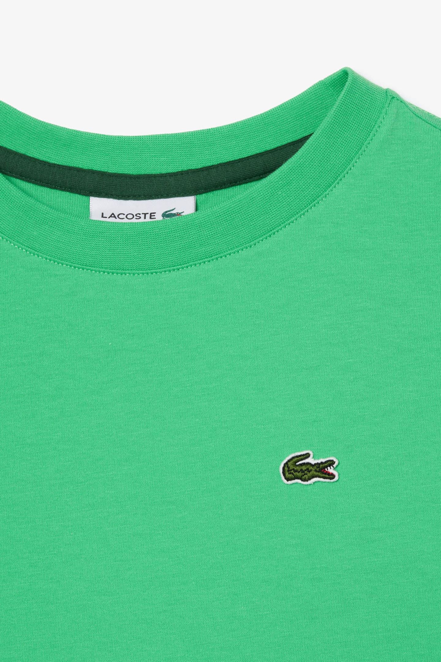 CHILDREN TEE-SHIRT PEPPERMINT 5