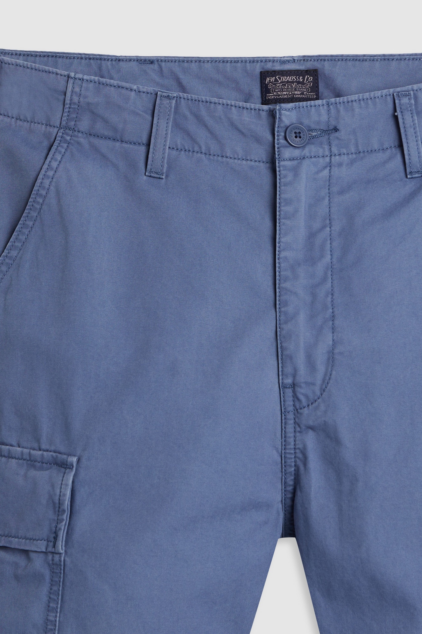 CARRIER CARGO SHORTS BLUE 8