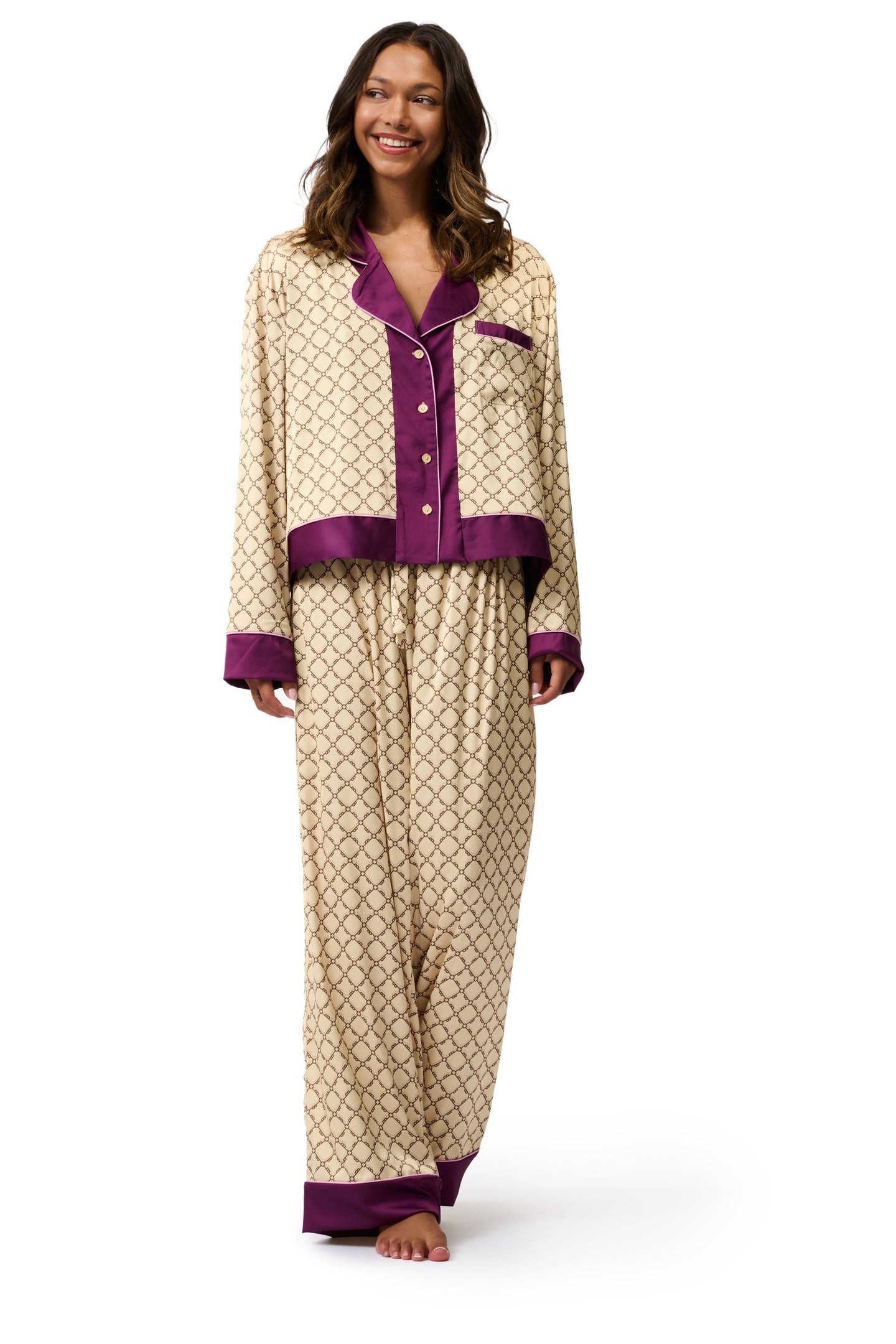 DAHLIA TRADITIONAL PJ SEA MIST 1