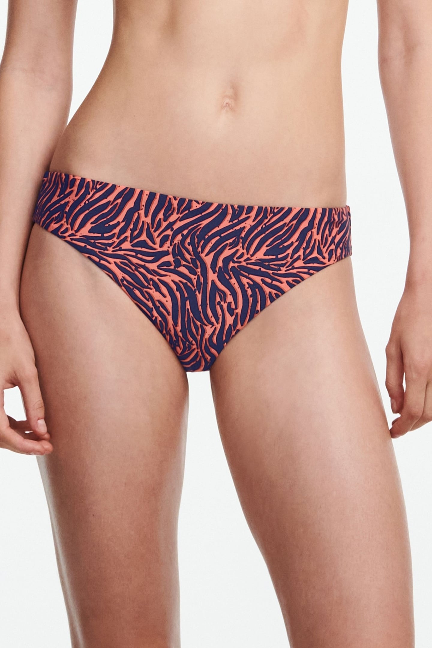 SW BO. BRIEF STD STD W. ZEBRA 1