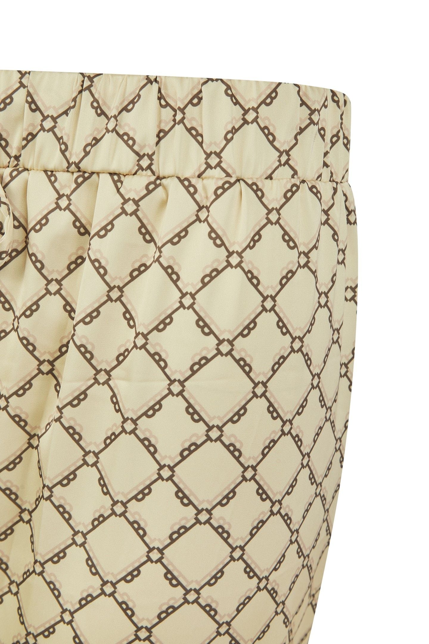 DAHLIA TRADITIONAL PJ SEA MIST 6