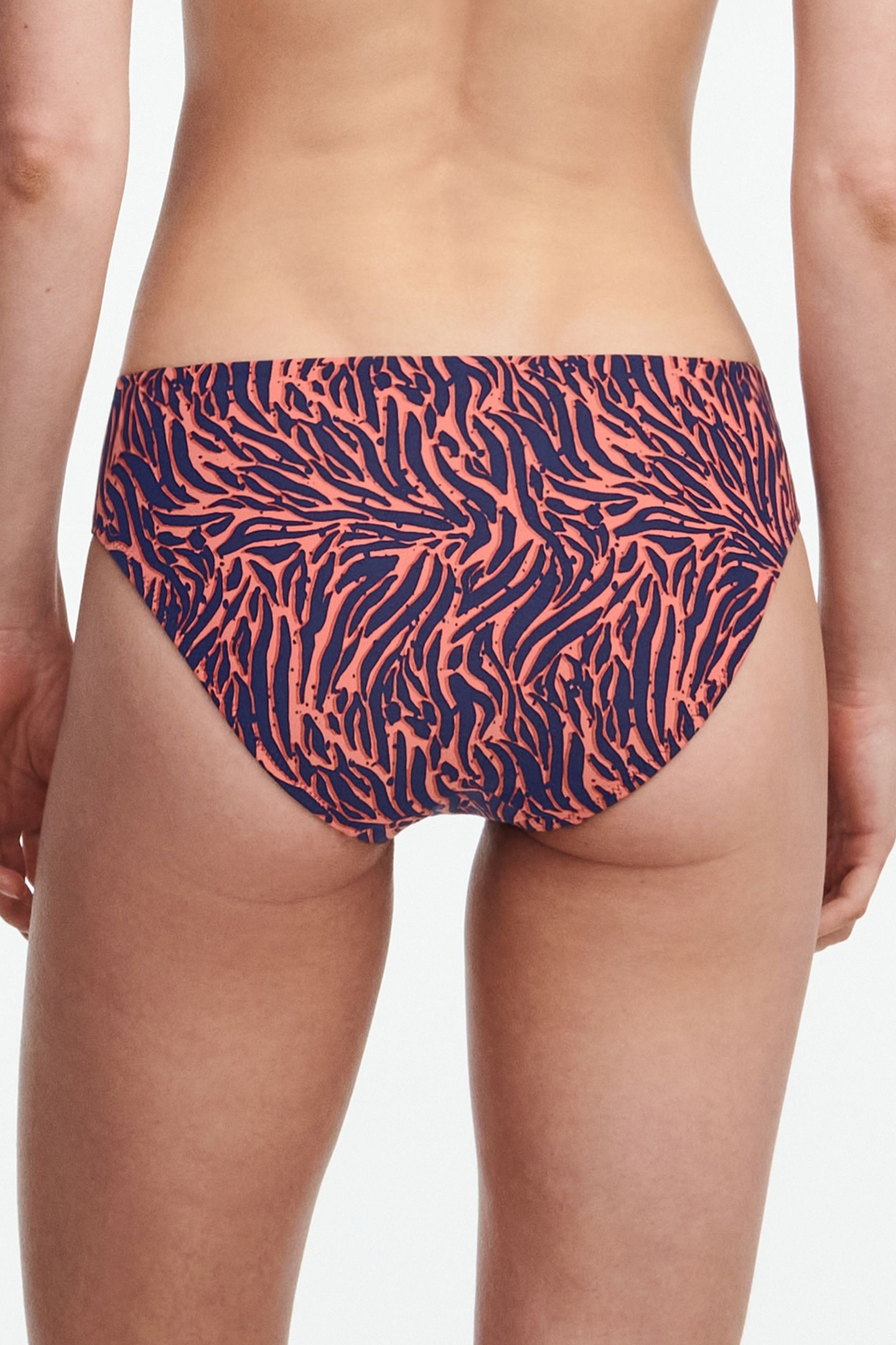 SW BO. BRIEF STD STD W. ZEBRA 2