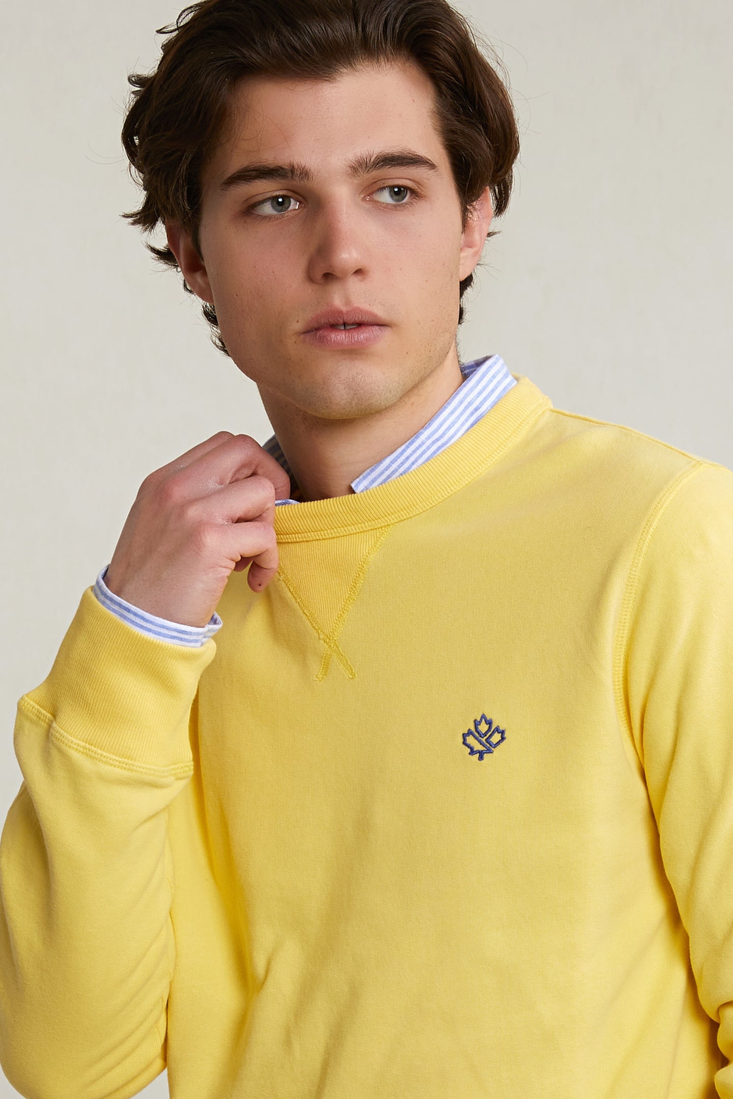 FCY CREW-NK SWT YELLOW 4