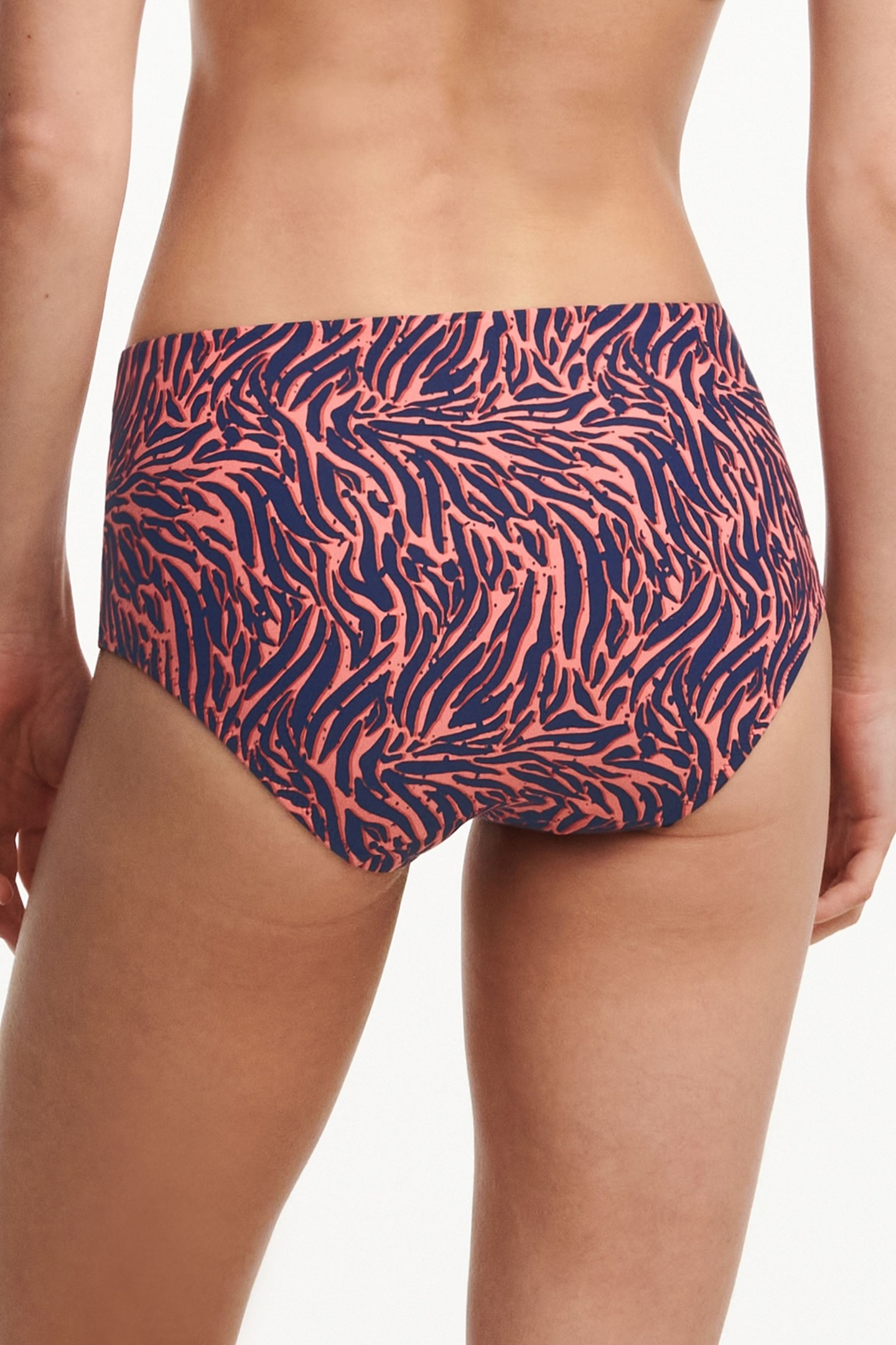 SW BO. FULL BRIEF STD HIGH W. ZEBRA 1